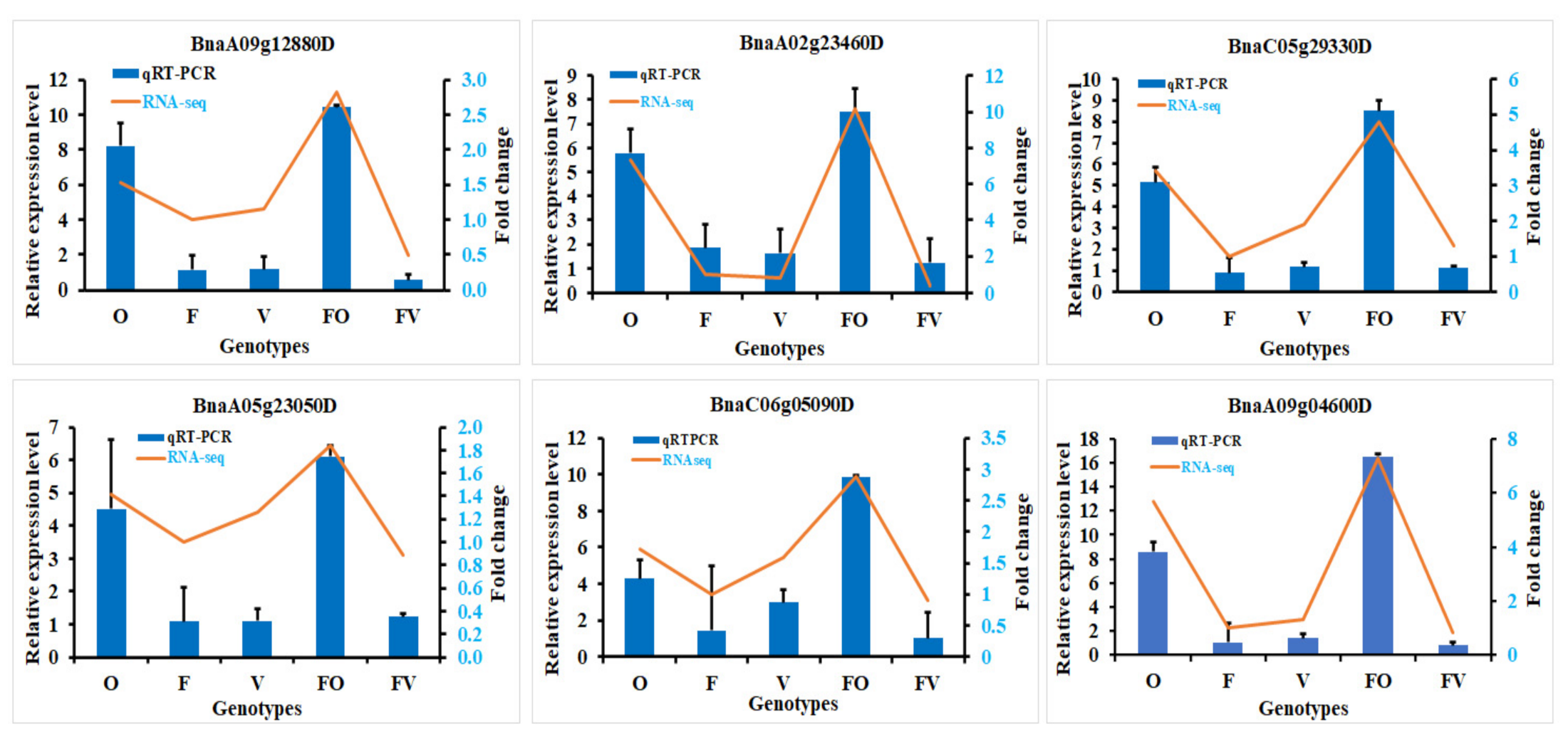Ijms 22 09246 g008 550