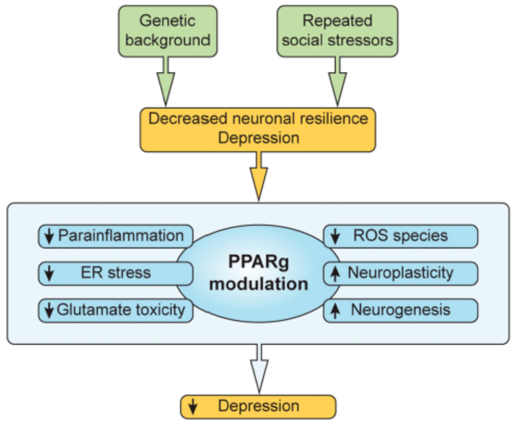 Ijms 22 09248 g004 550