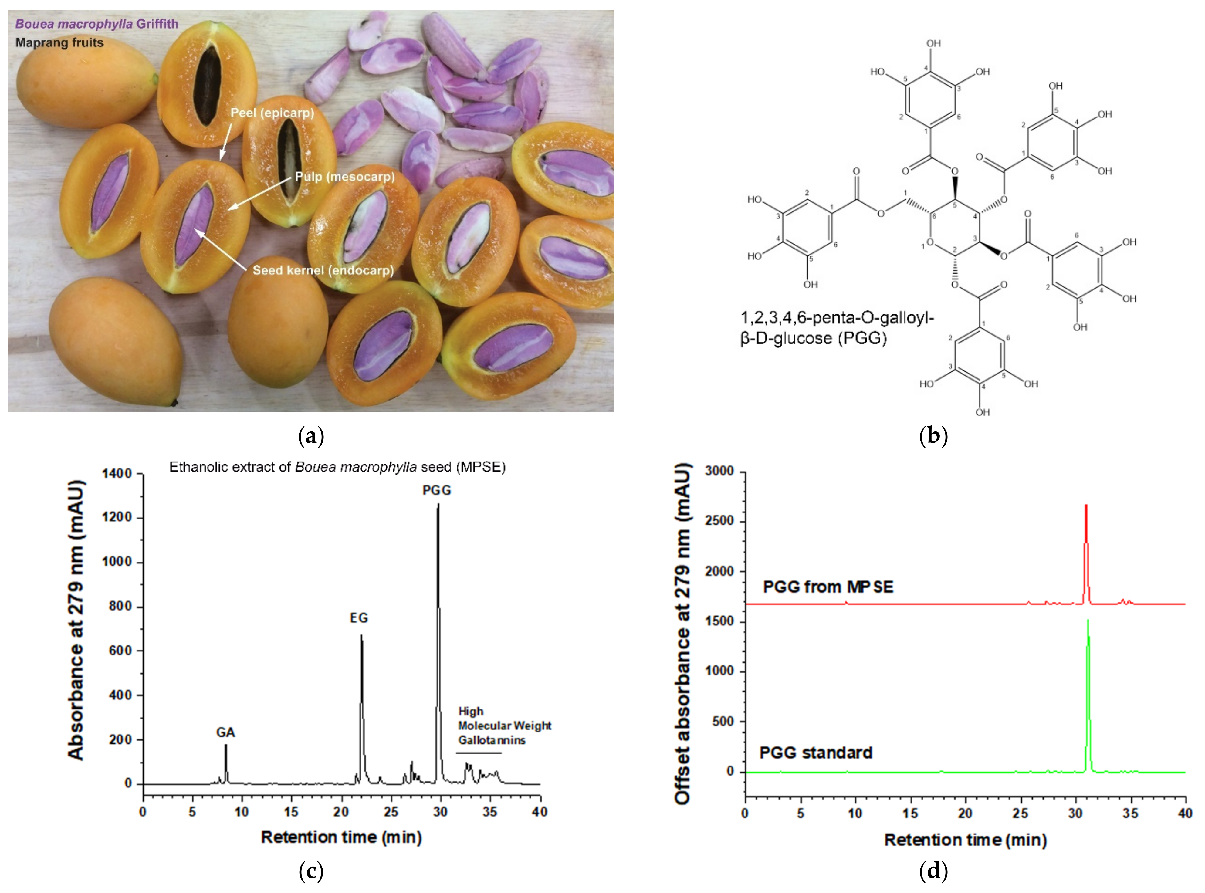Ijms 22 09253 g001 550