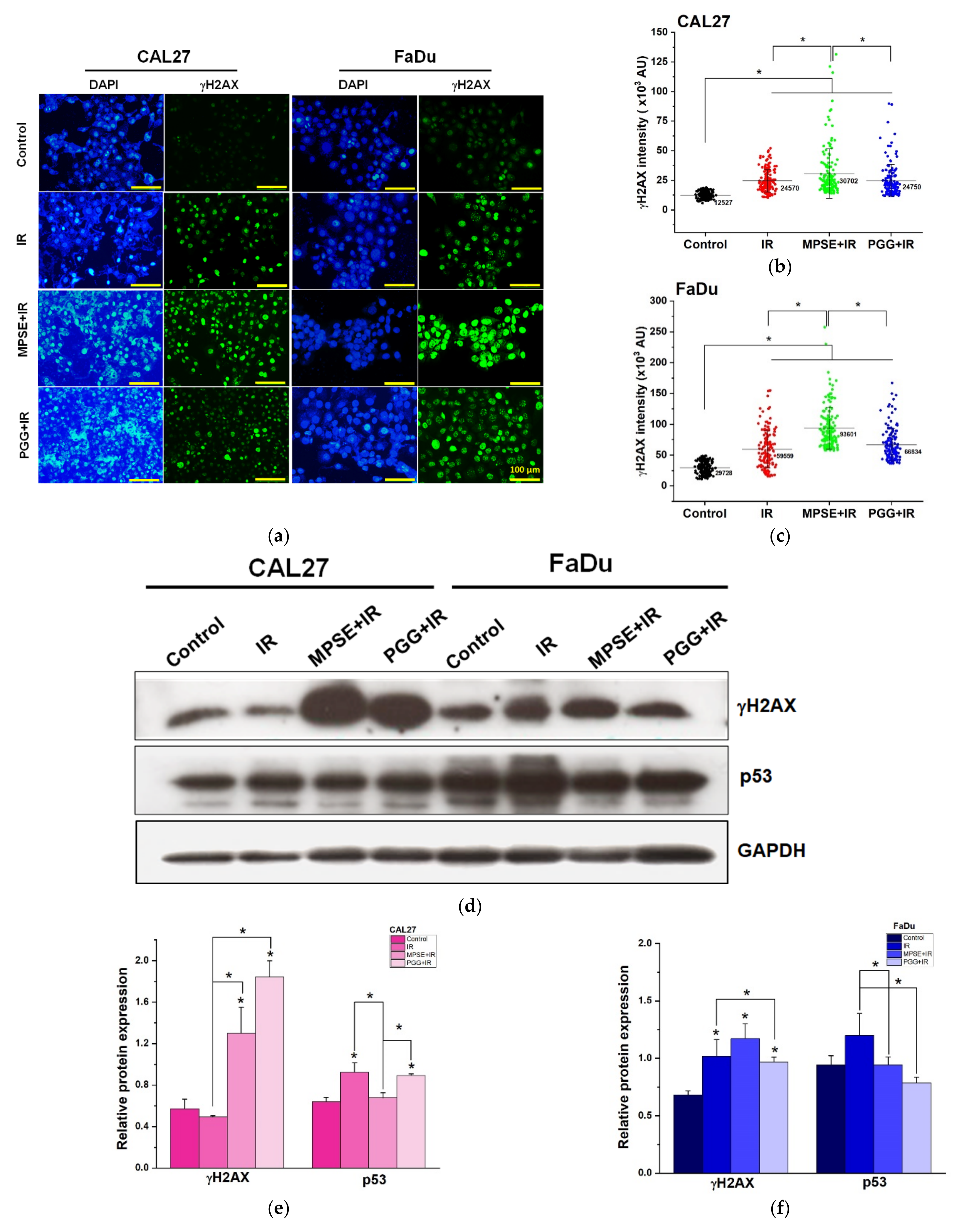 Ijms 22 09253 g005a 550