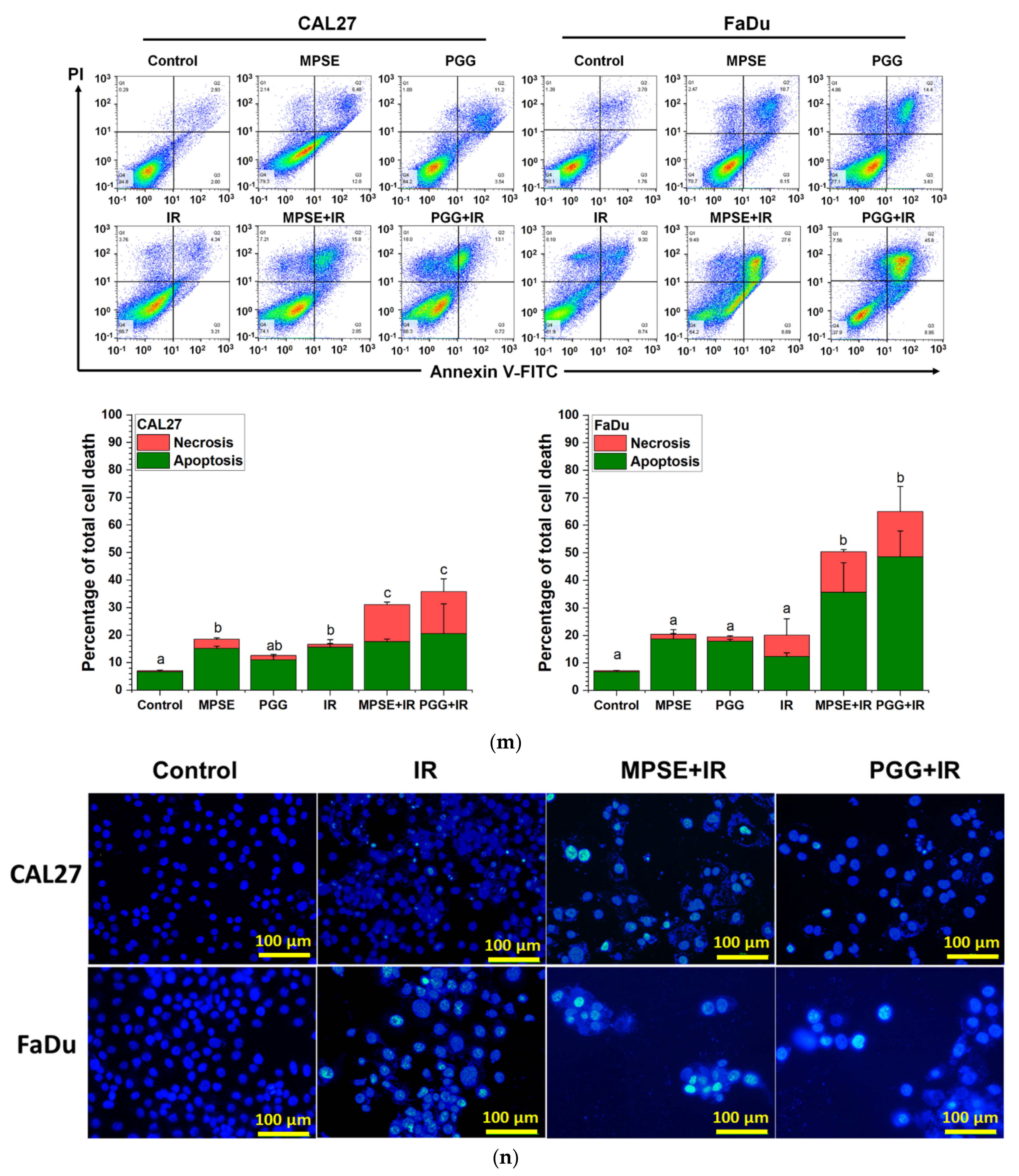 Ijms 22 09253 g005c 550