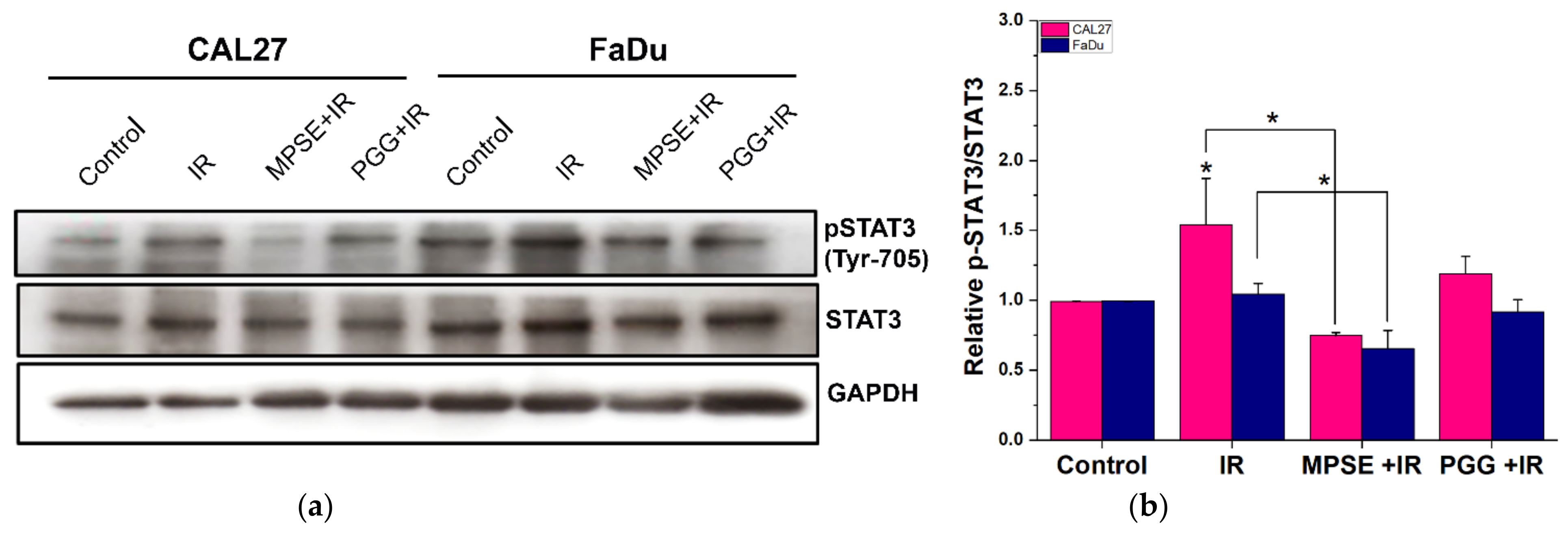Ijms 22 09253 g006a 550