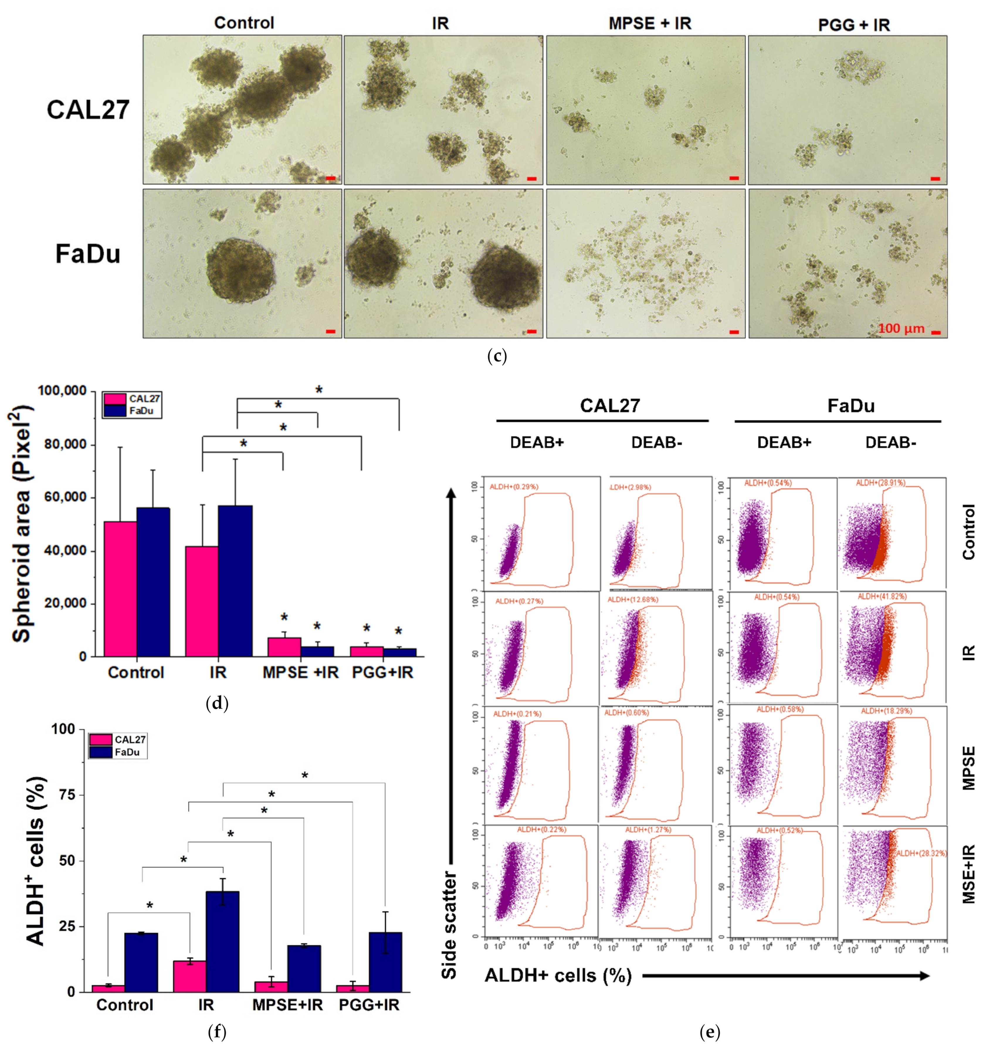 Ijms 22 09253 g006b 550