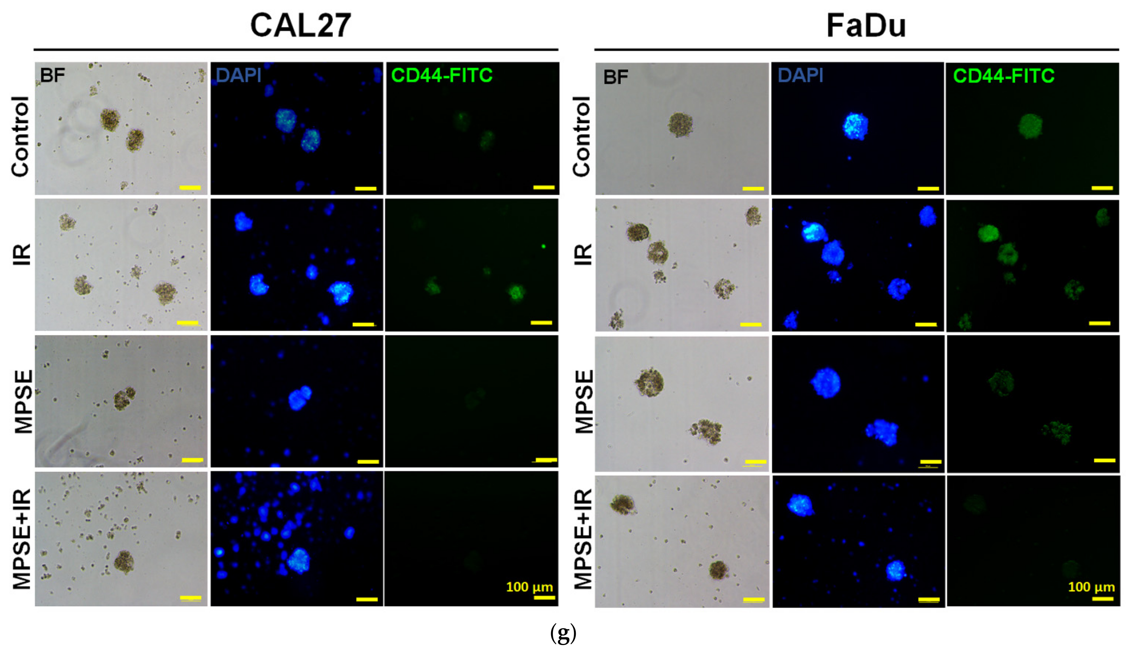 Ijms 22 09253 g006c 550