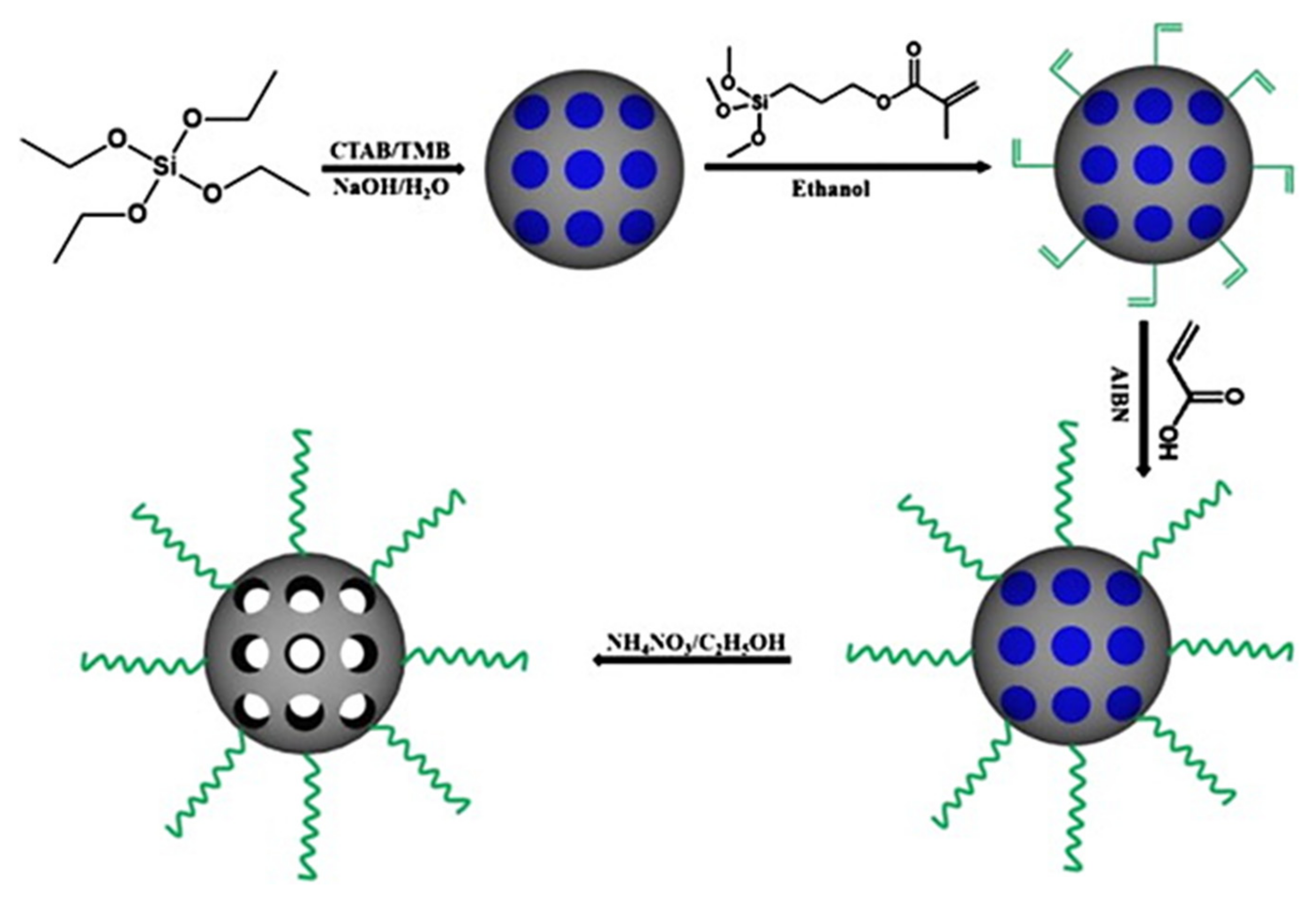 Ijms 22 09264 g008 550