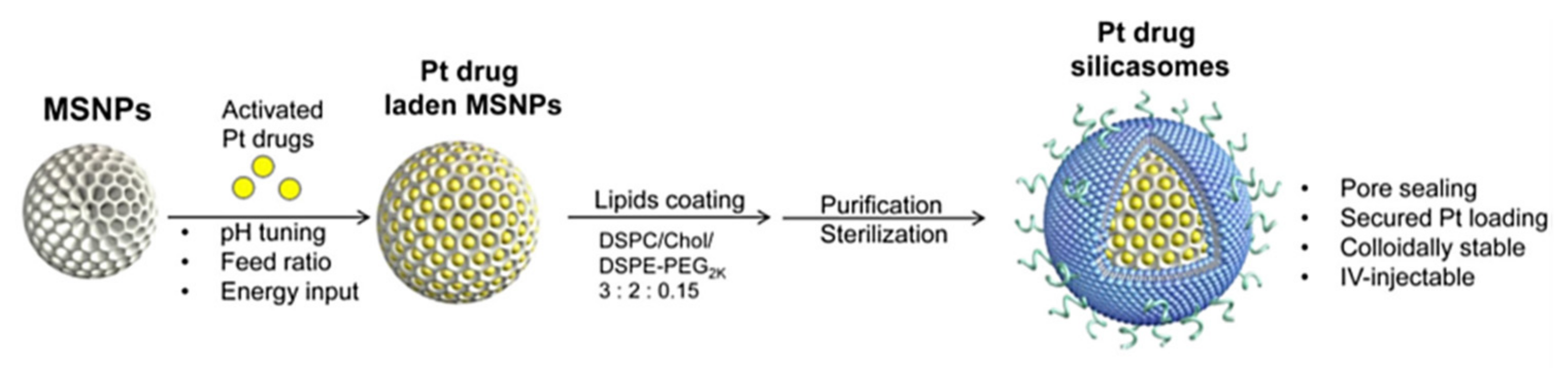Ijms 22 09264 g027 550