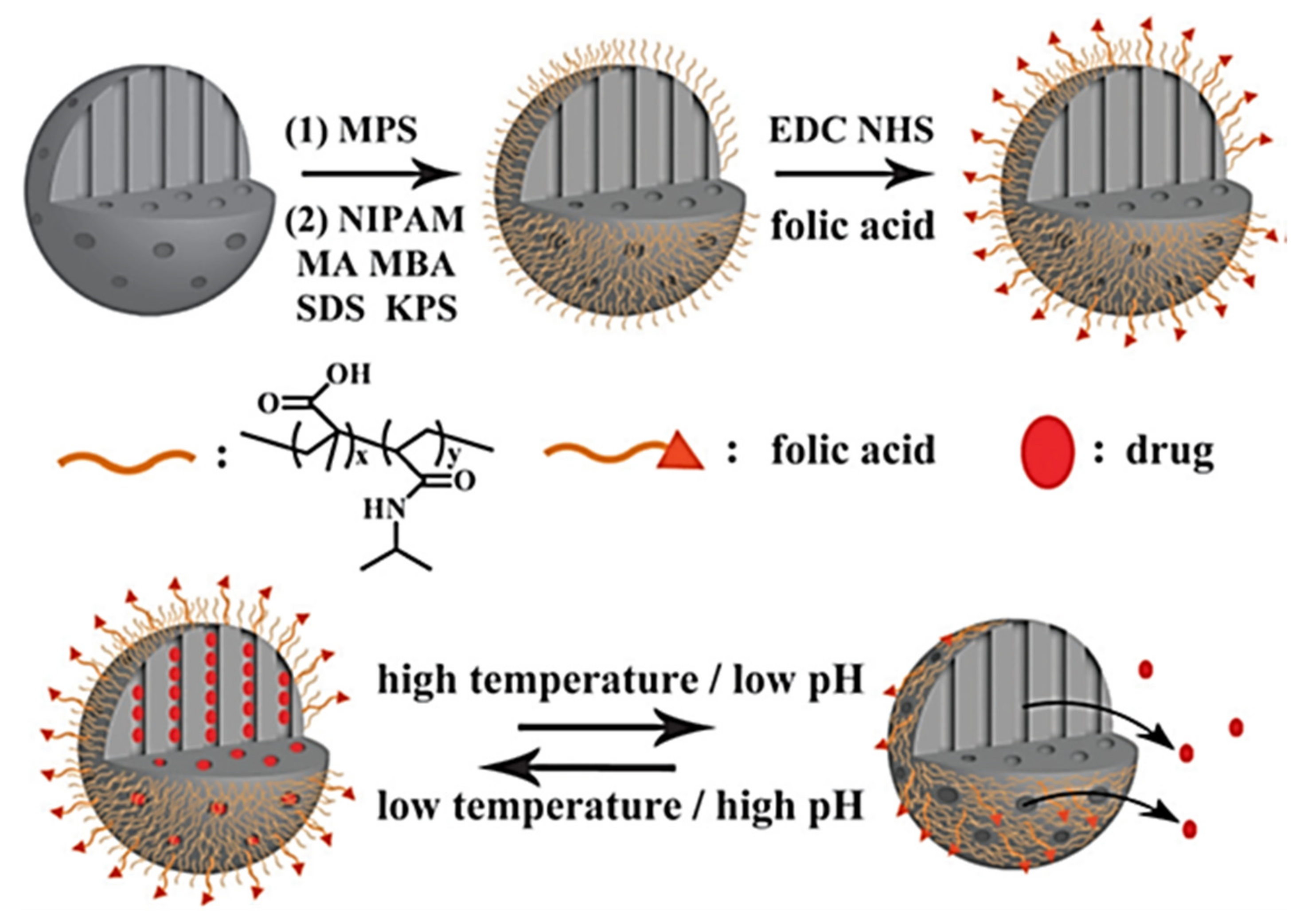 Ijms 22 09264 g028 550