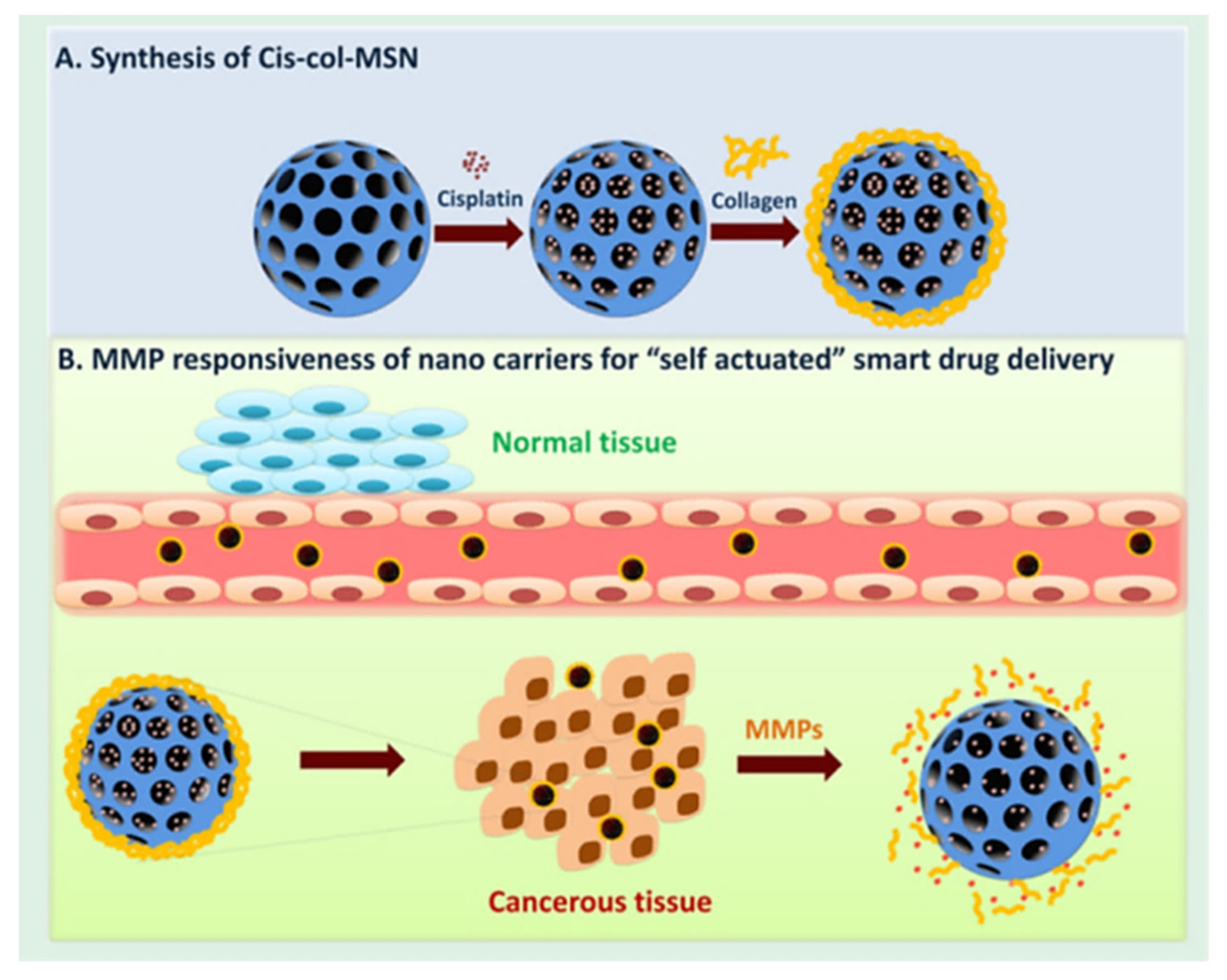 Ijms 22 09264 g032 550