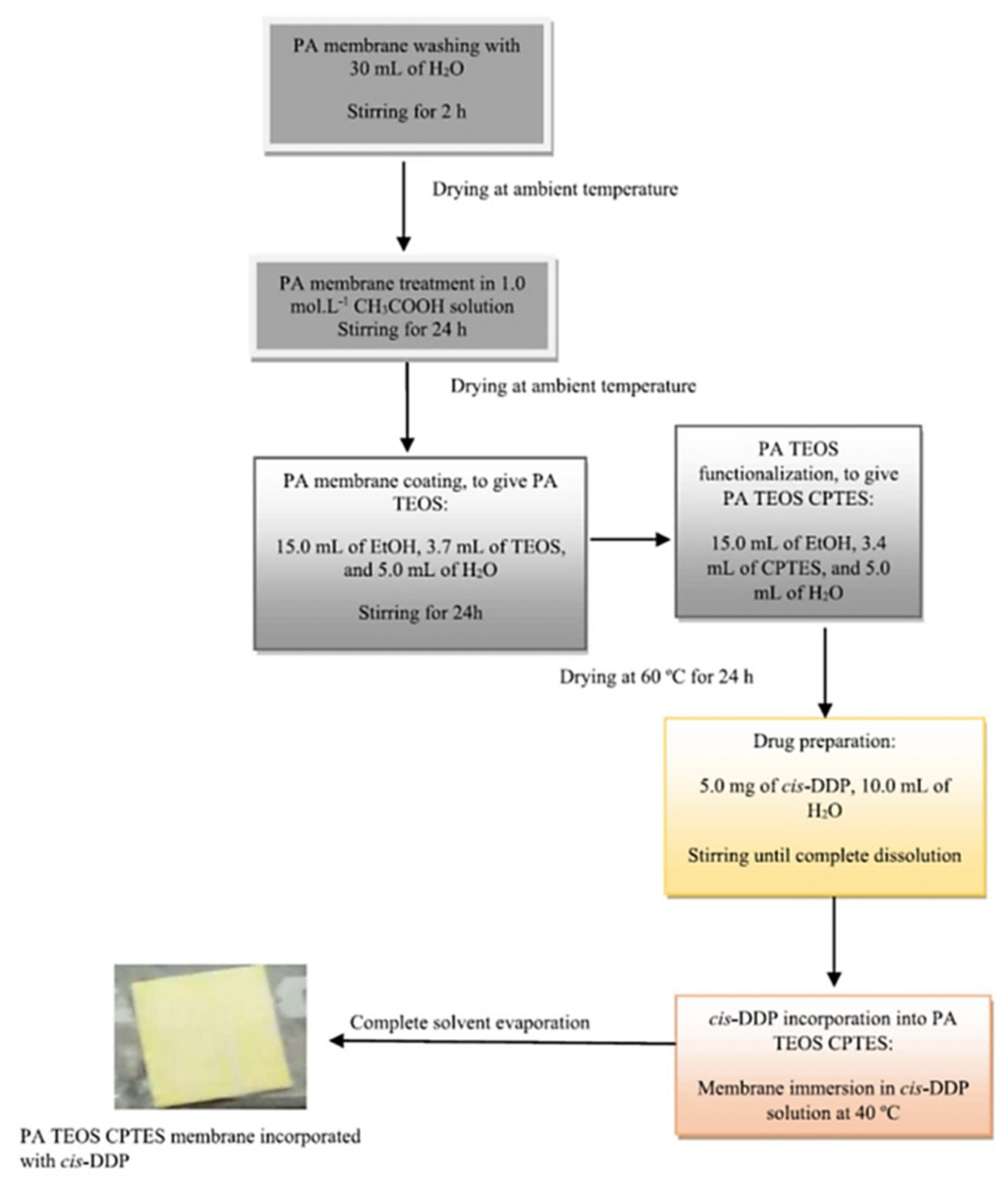 Ijms 22 09264 g037b 550