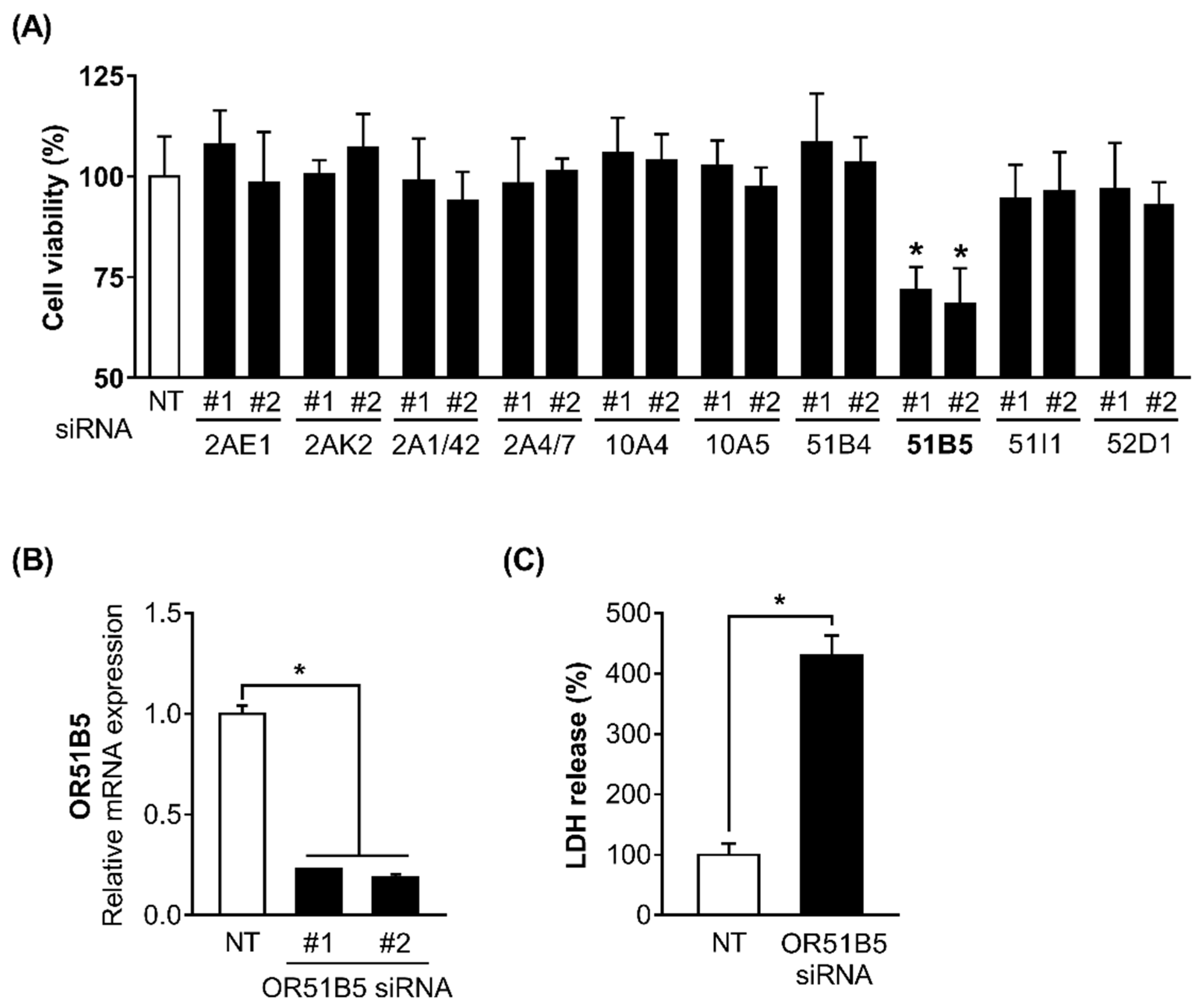 Ijms 22 09273 g004 550