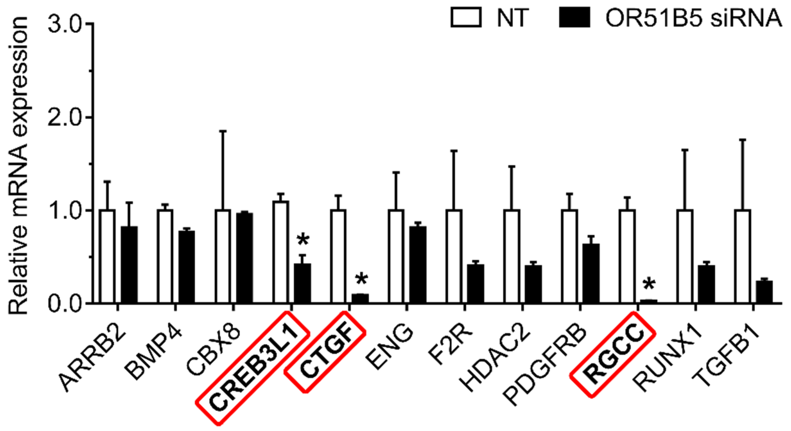 Ijms 22 09273 g008 550