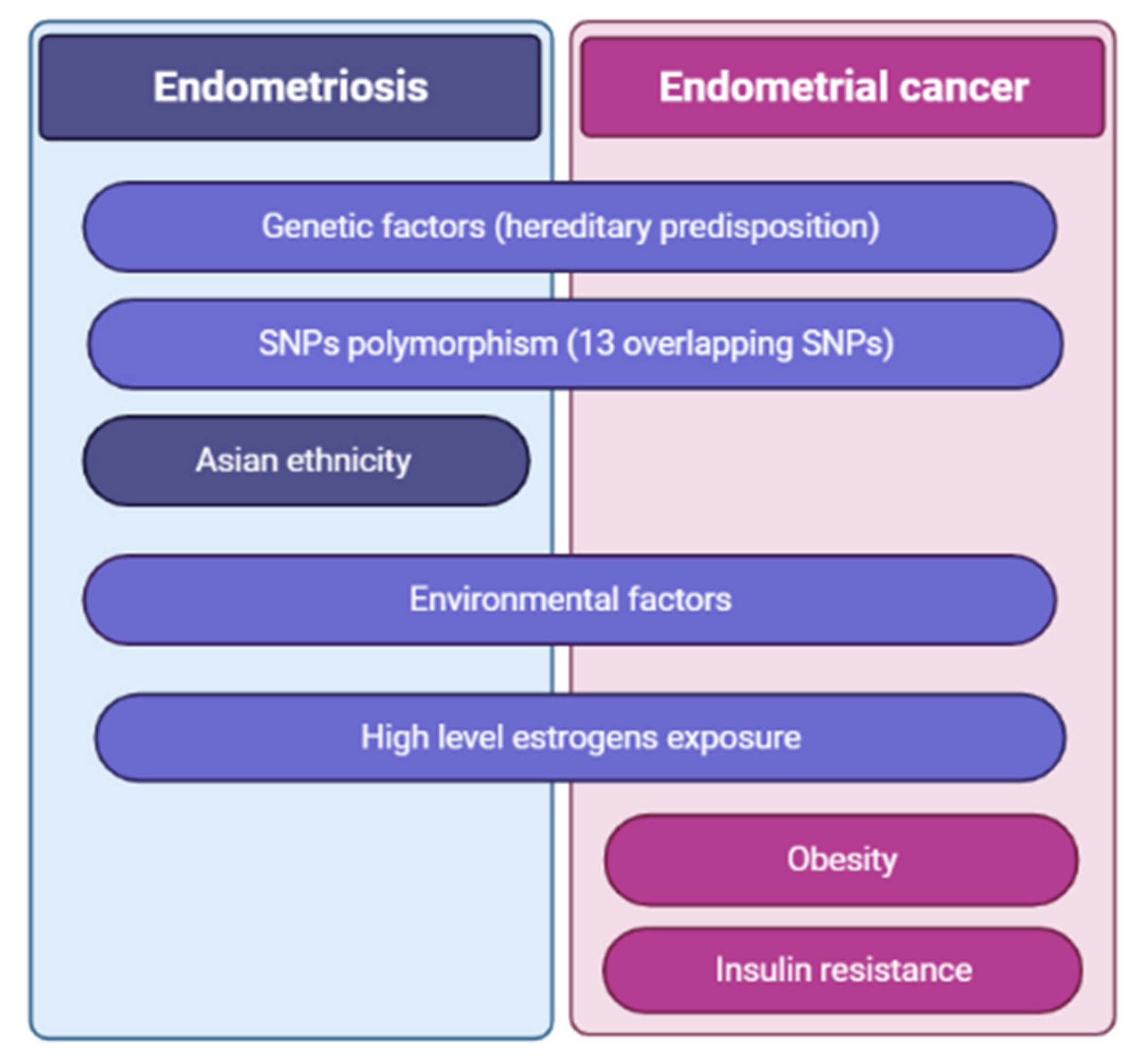 new research into endometriosis