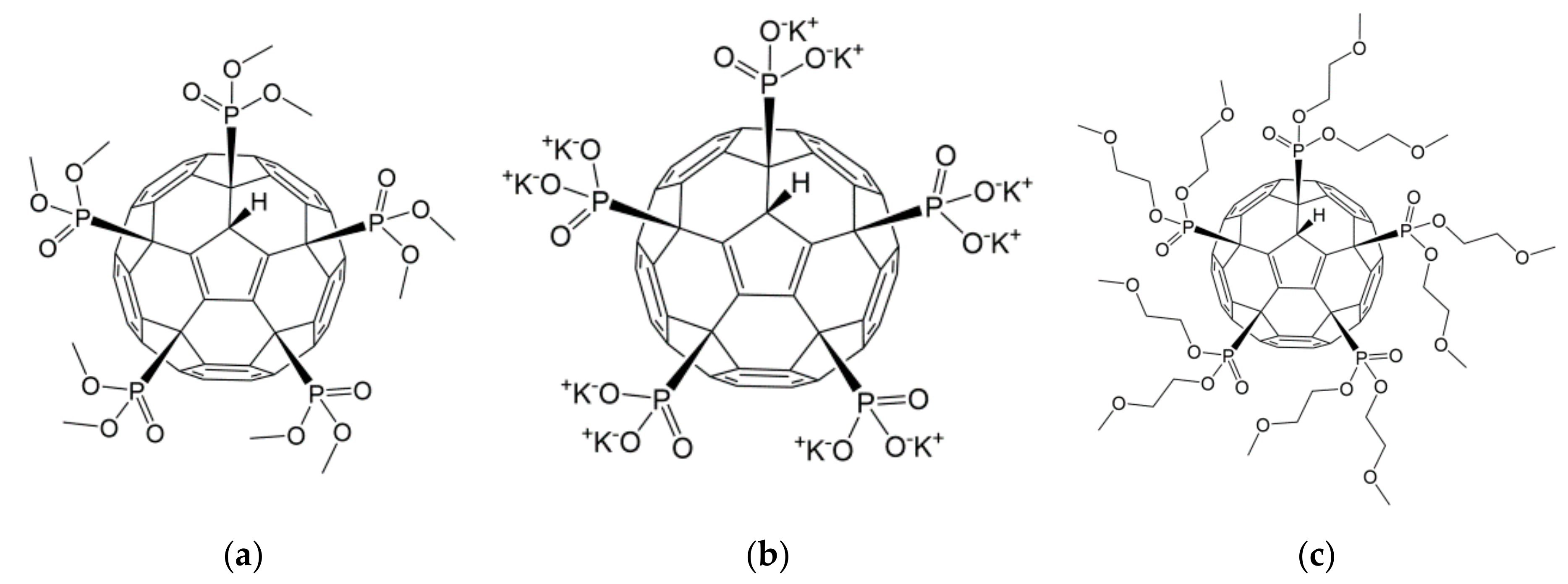 Ijms 22 09284 g002 Ijms 22 09284 g002