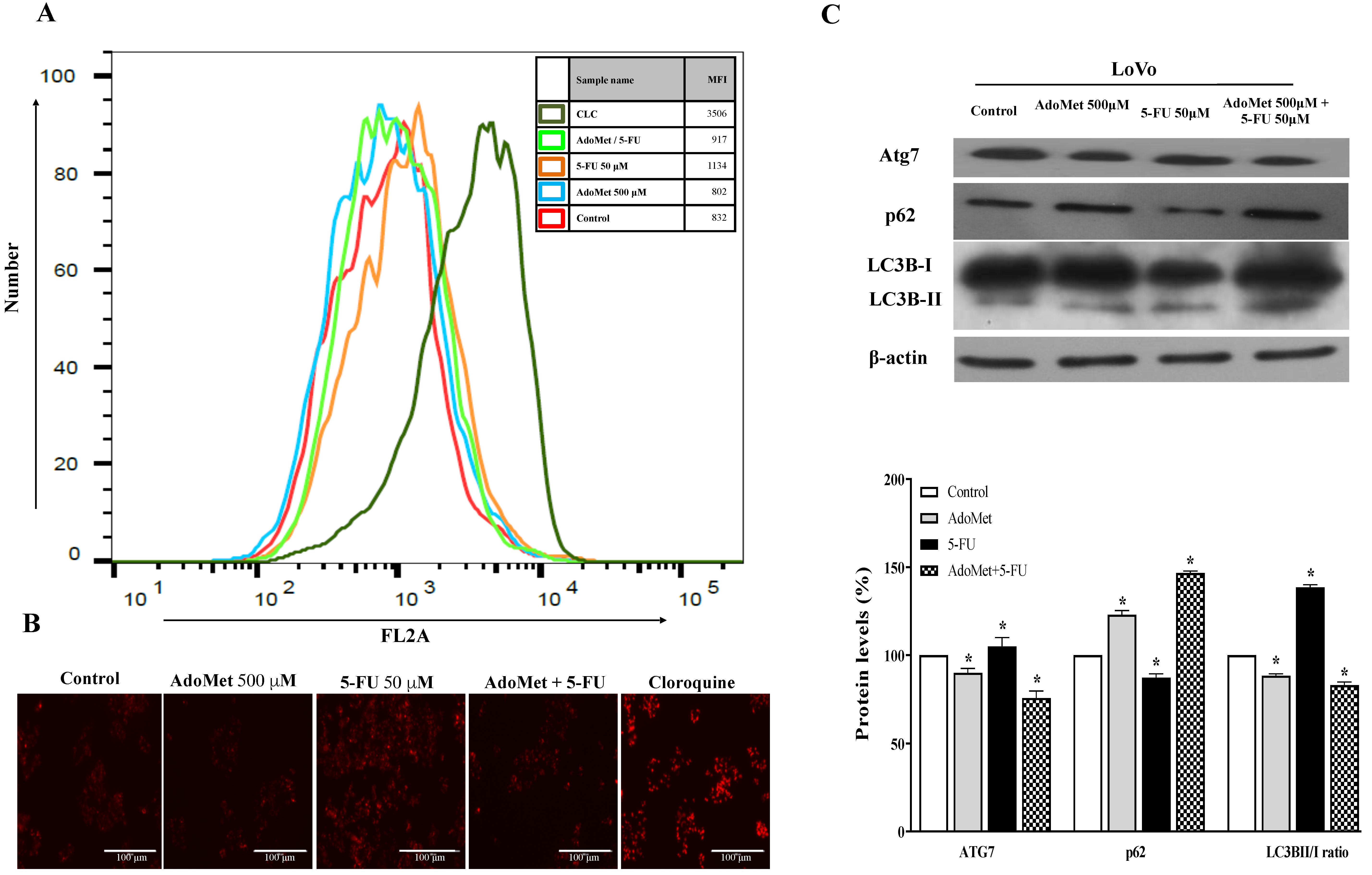 Ijms 22 09286 g005 550