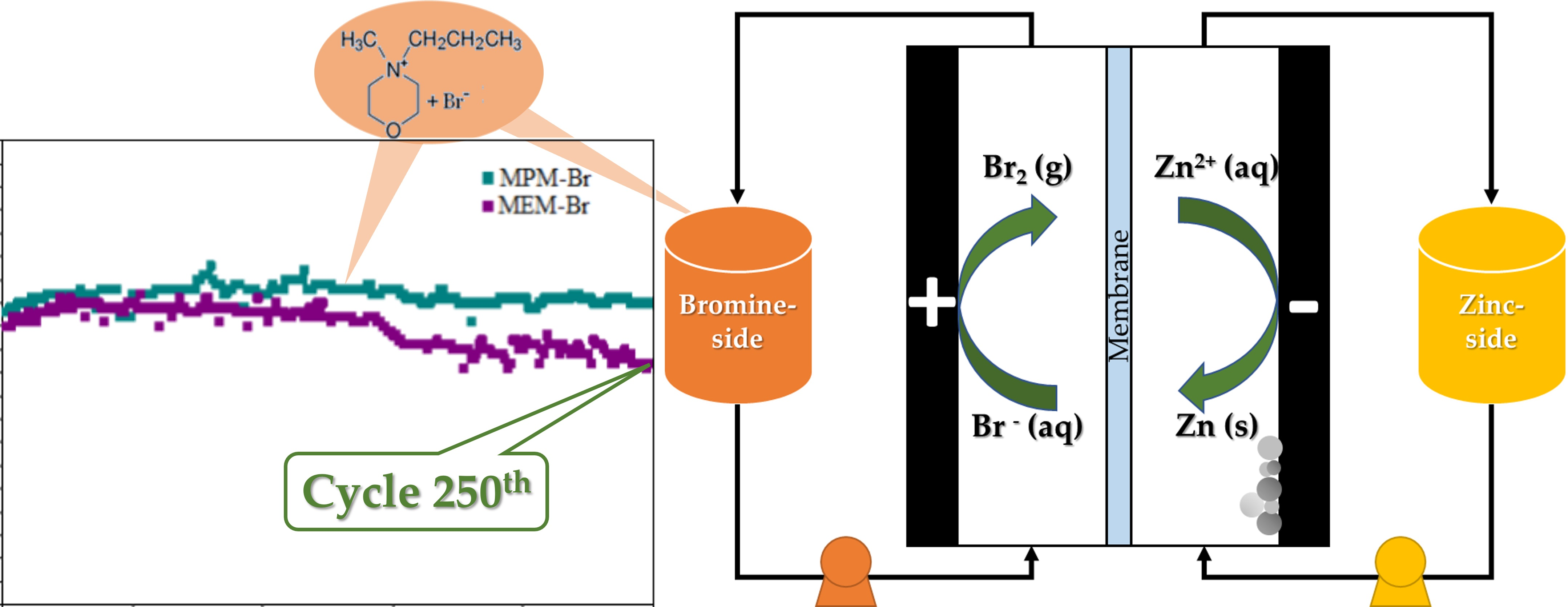 IJMS Free FullText Enhanced Performance of Zn/Br Flow Battery
