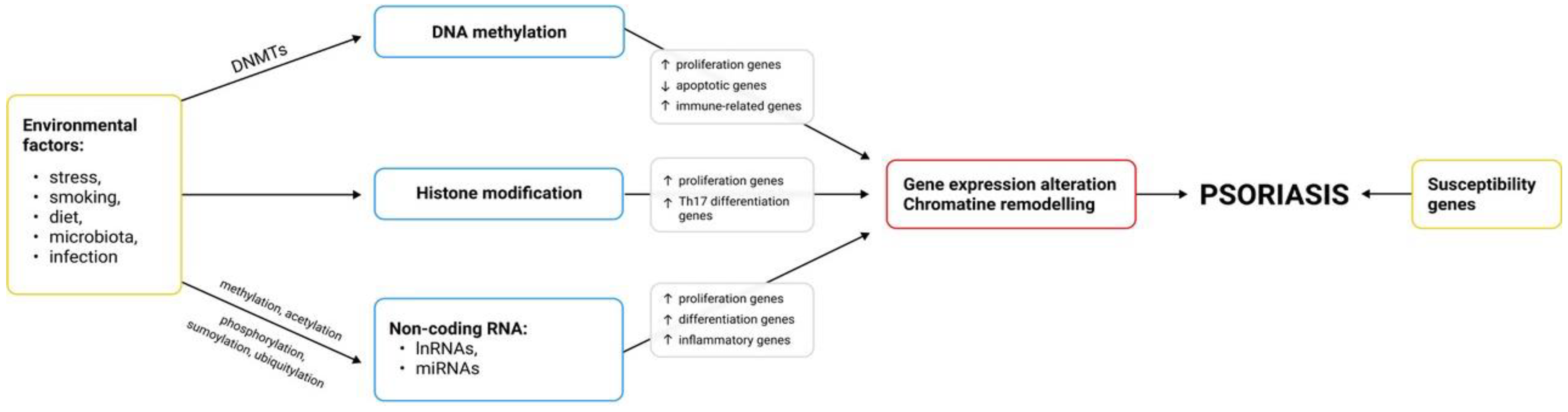 Ijms 22 09294 g001 550