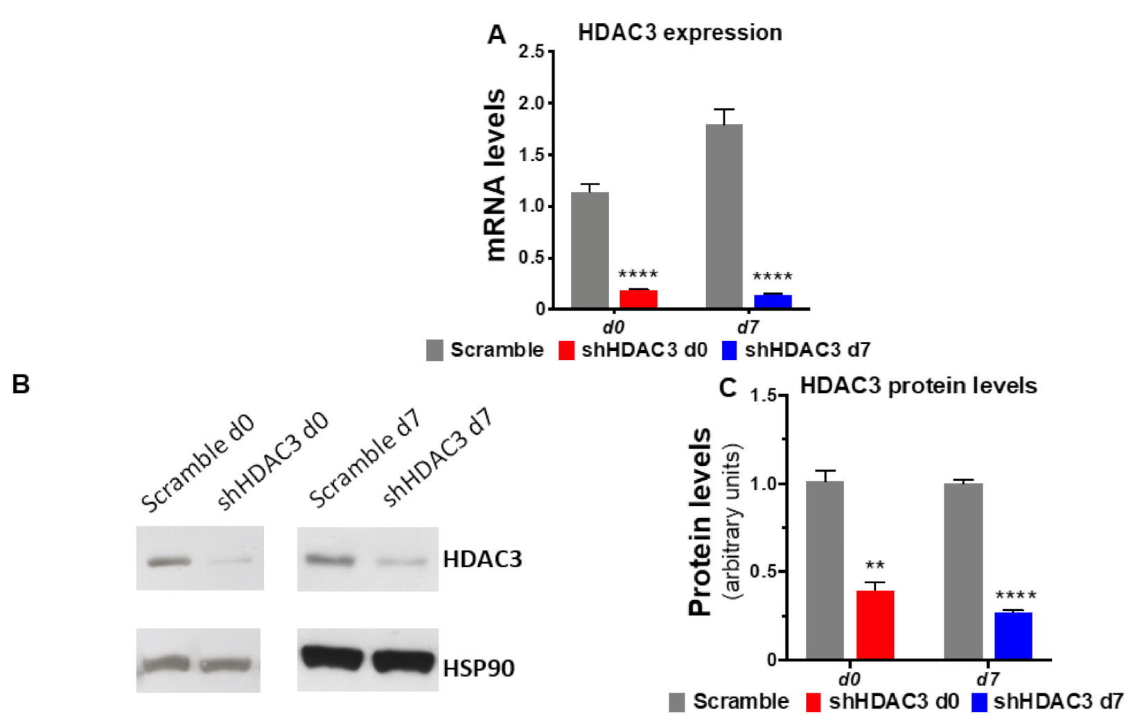 Ijms 22 09300 g002 550