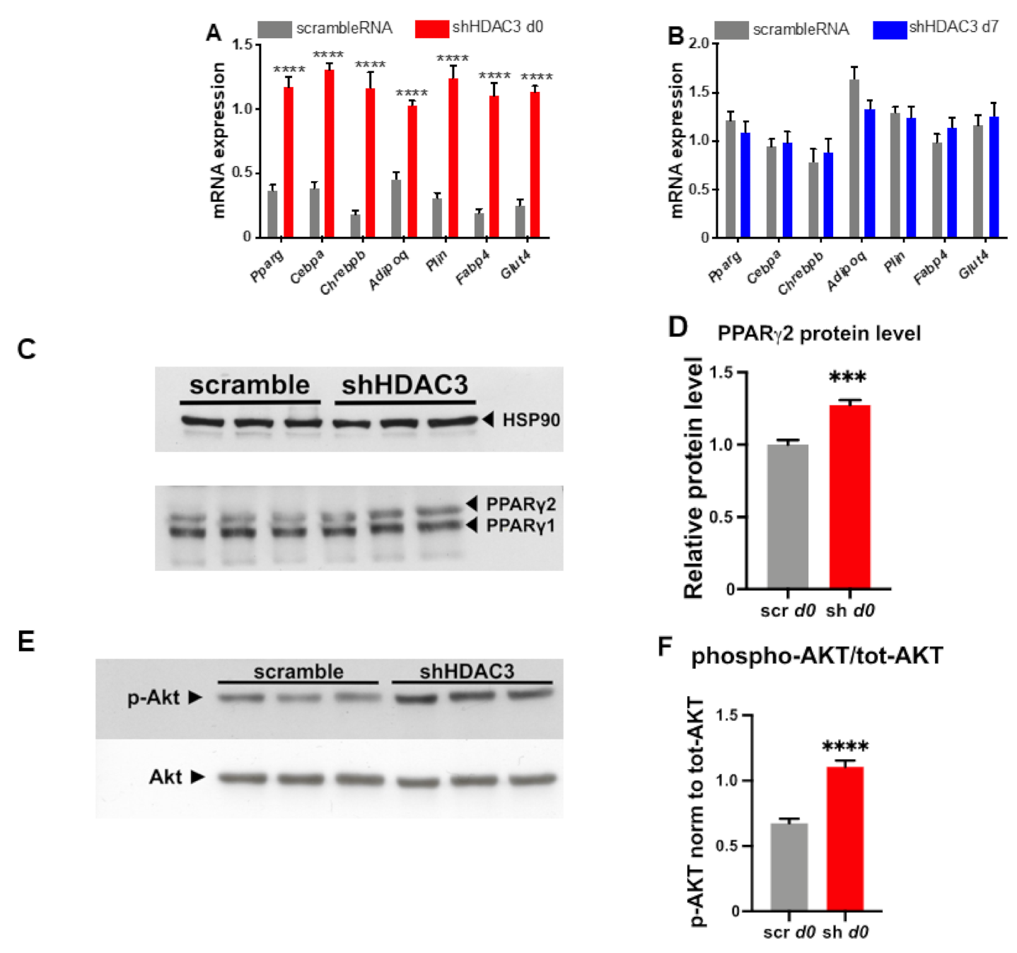 Ijms 22 09300 g003 550