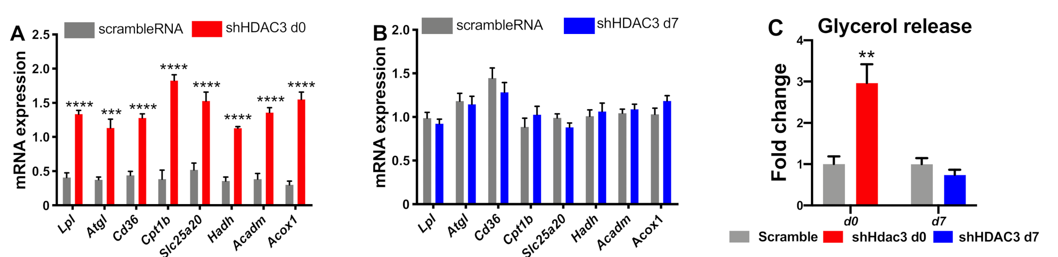 Ijms 22 09300 g005 550
