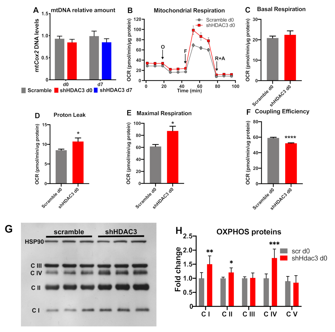 Ijms 22 09300 g007 550