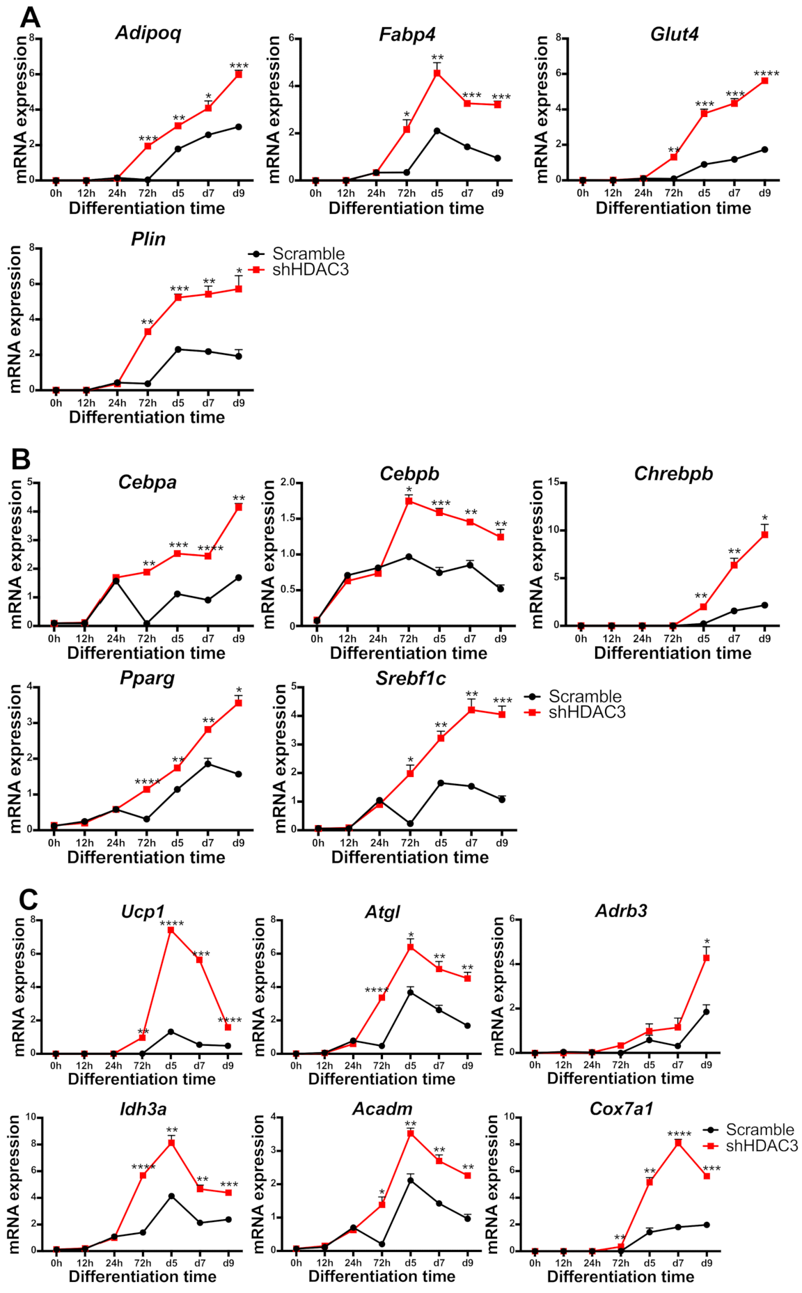 Ijms 22 09300 g009 550