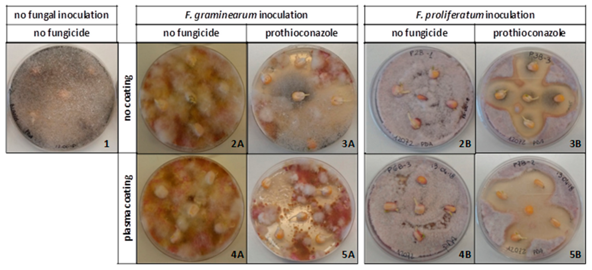 Ijms 22 09301 g001 550