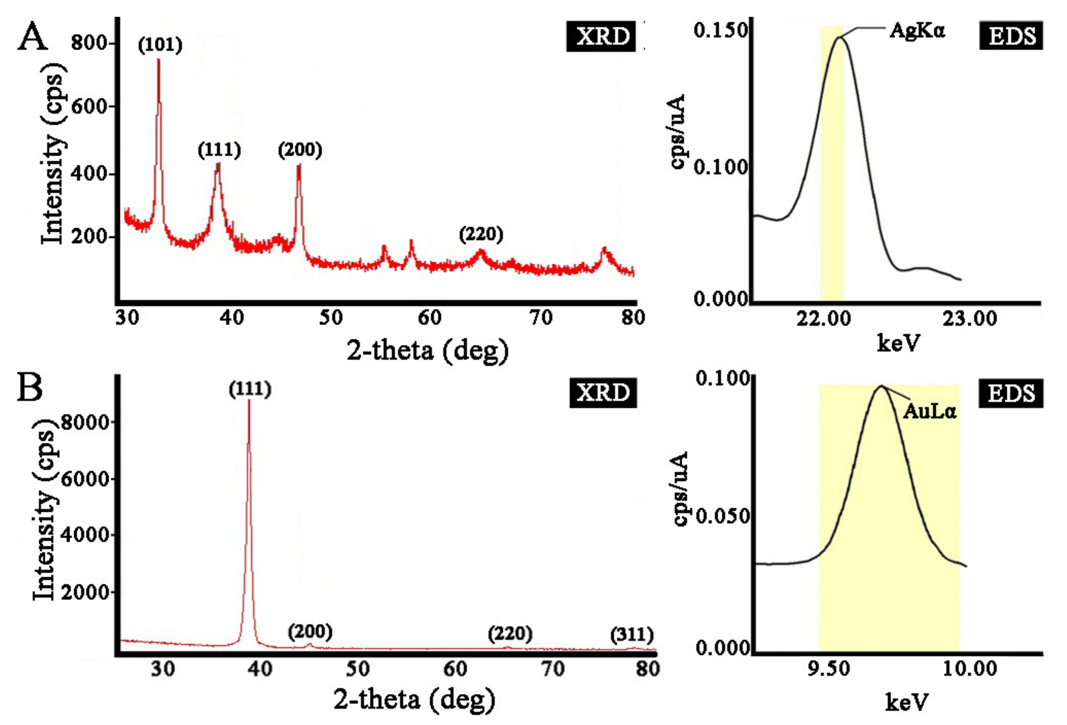 Ijms 22 09305 g004 550