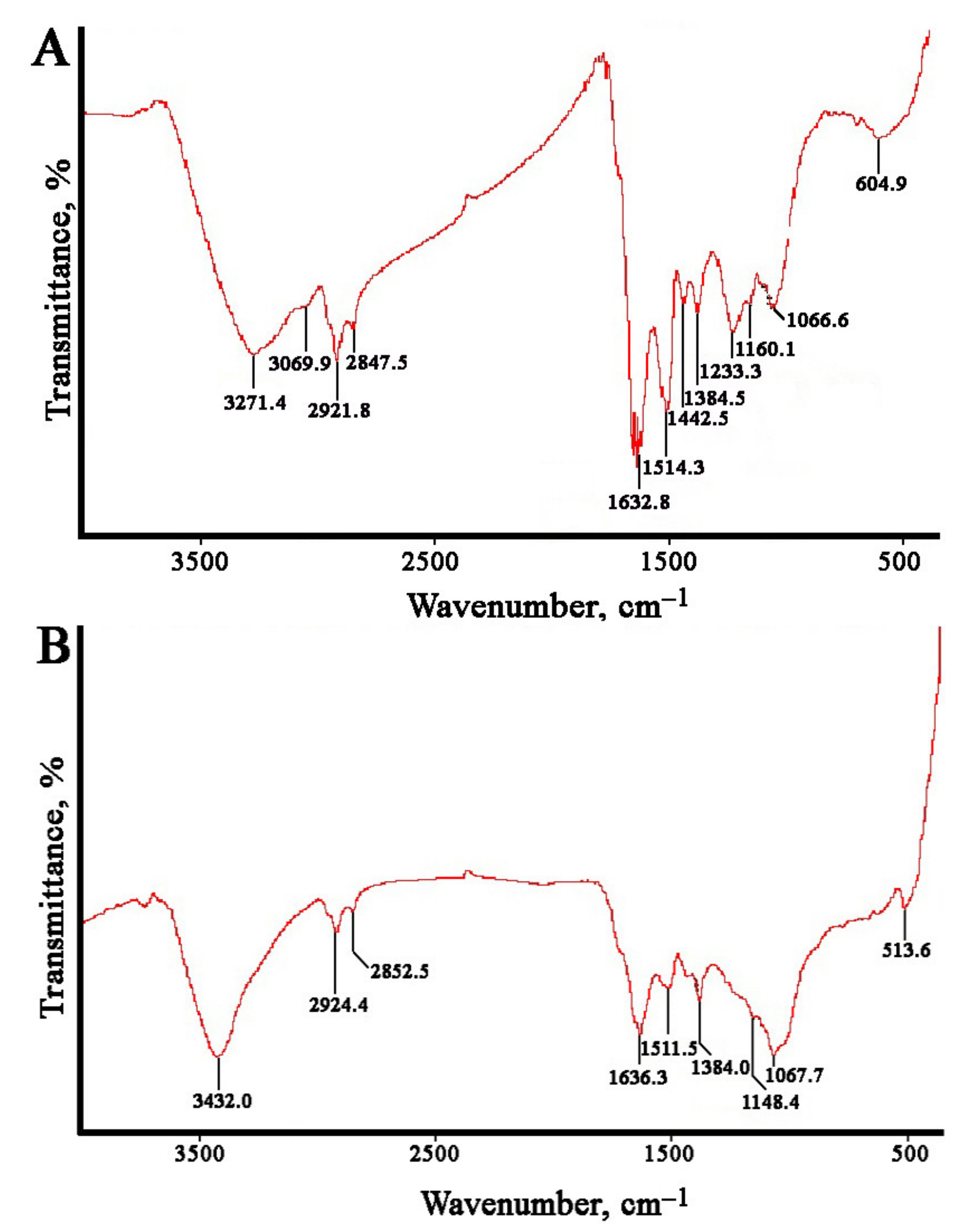 Ijms 22 09305 g005 550