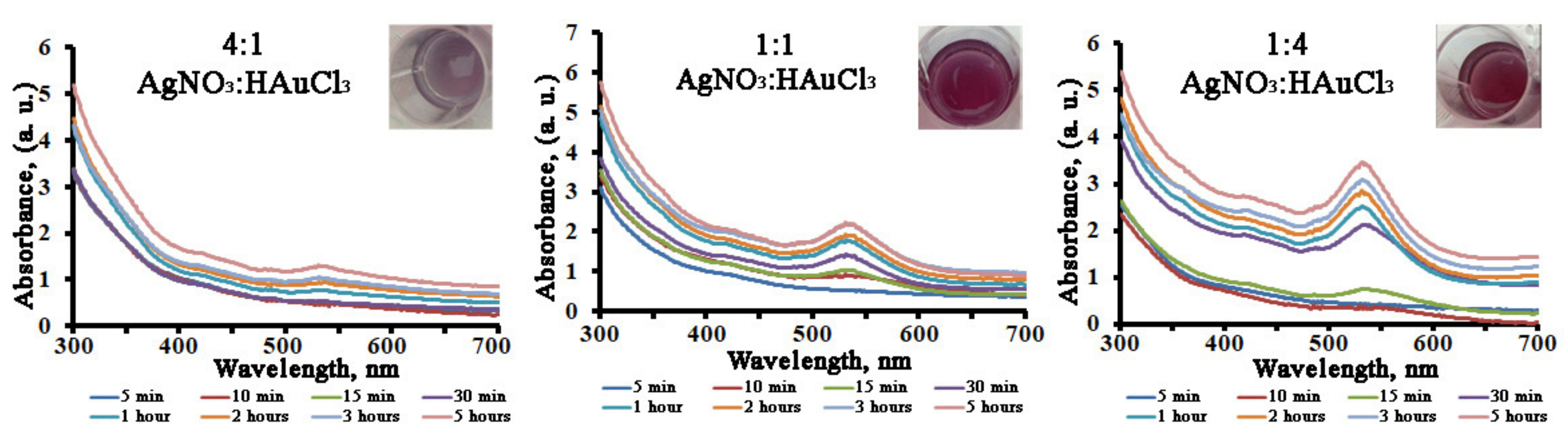 Ijms 22 09305 g006 550