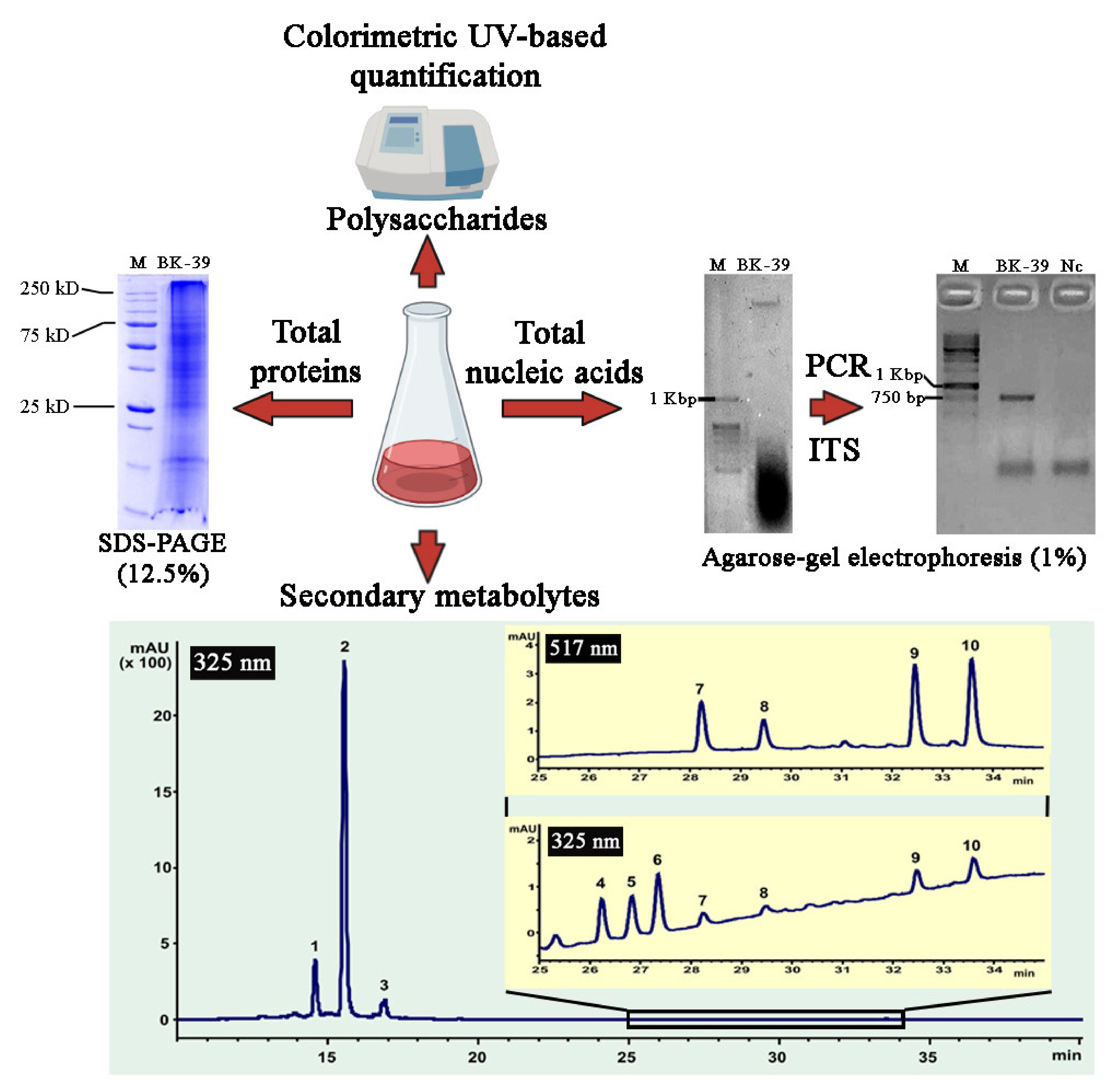 Ijms 22 09305 g010 550
