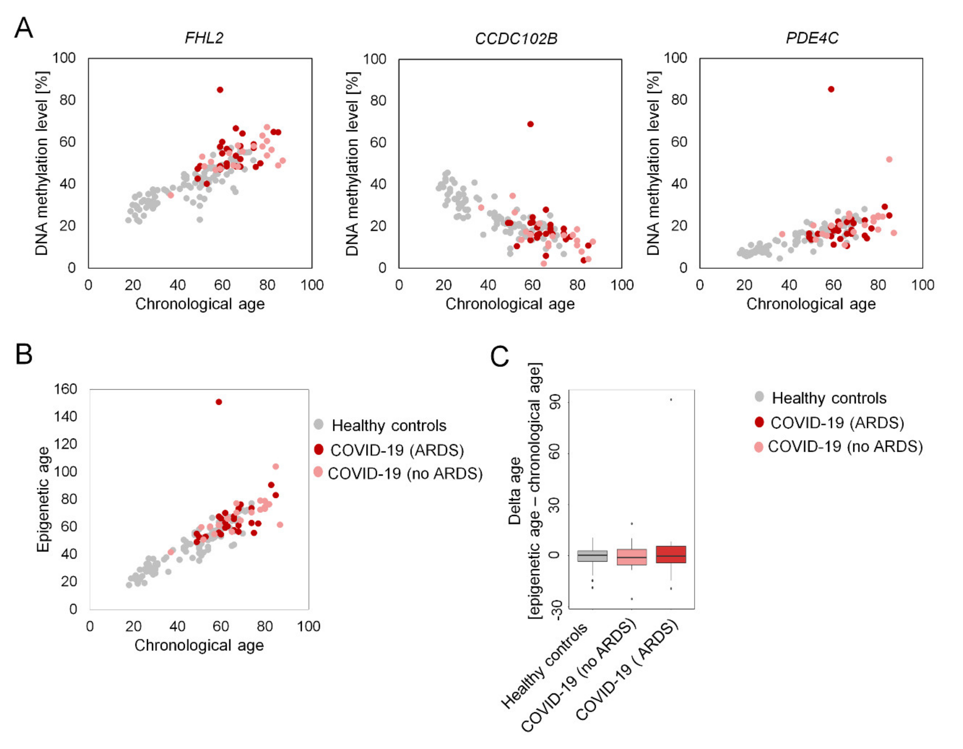 Ijms Free Full Text Epigenetic Clocks Are Not Accelerated In Covid 19 Patients Ijms Free Full Text Epigenetic Clocks Are Not Accelerated In Covid 19 Patients