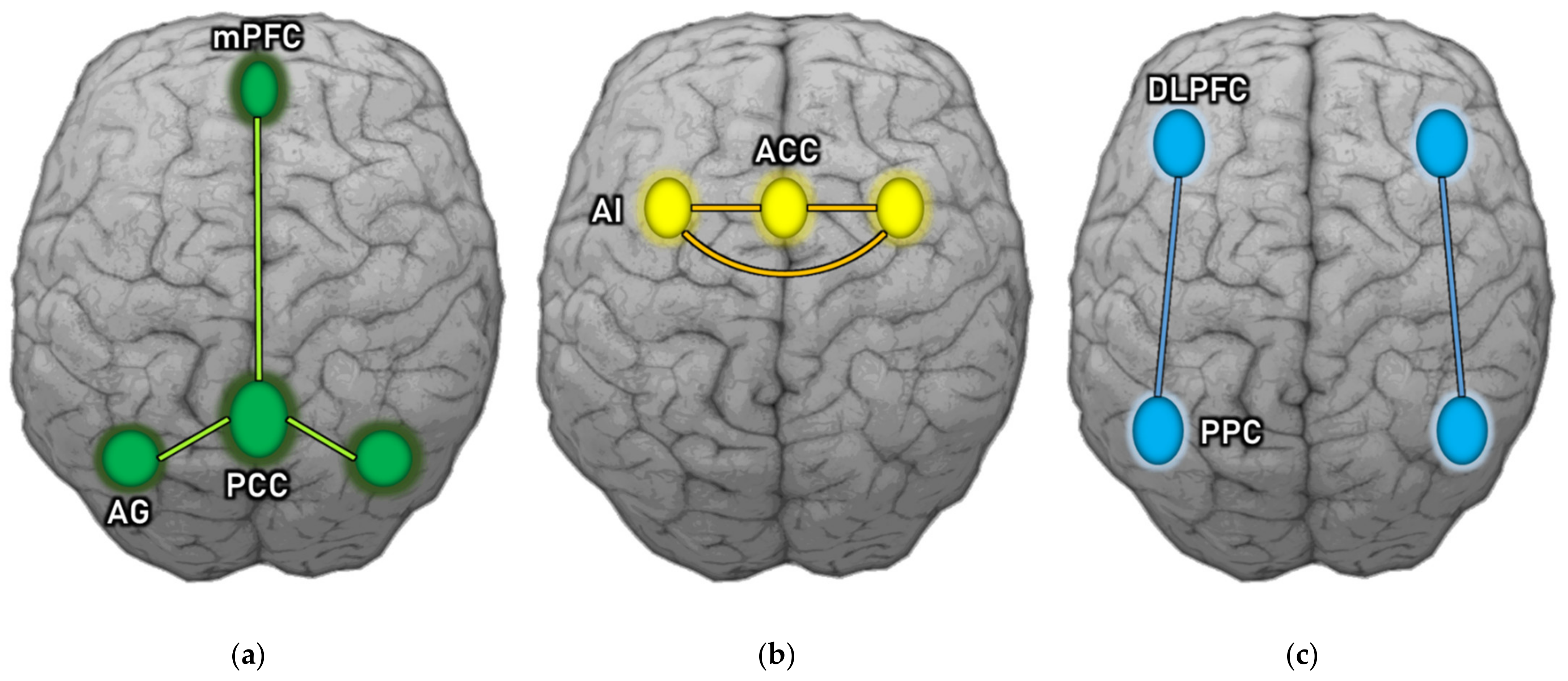 Ijms 22 09309 g003 Ijms 22 09309 g003
