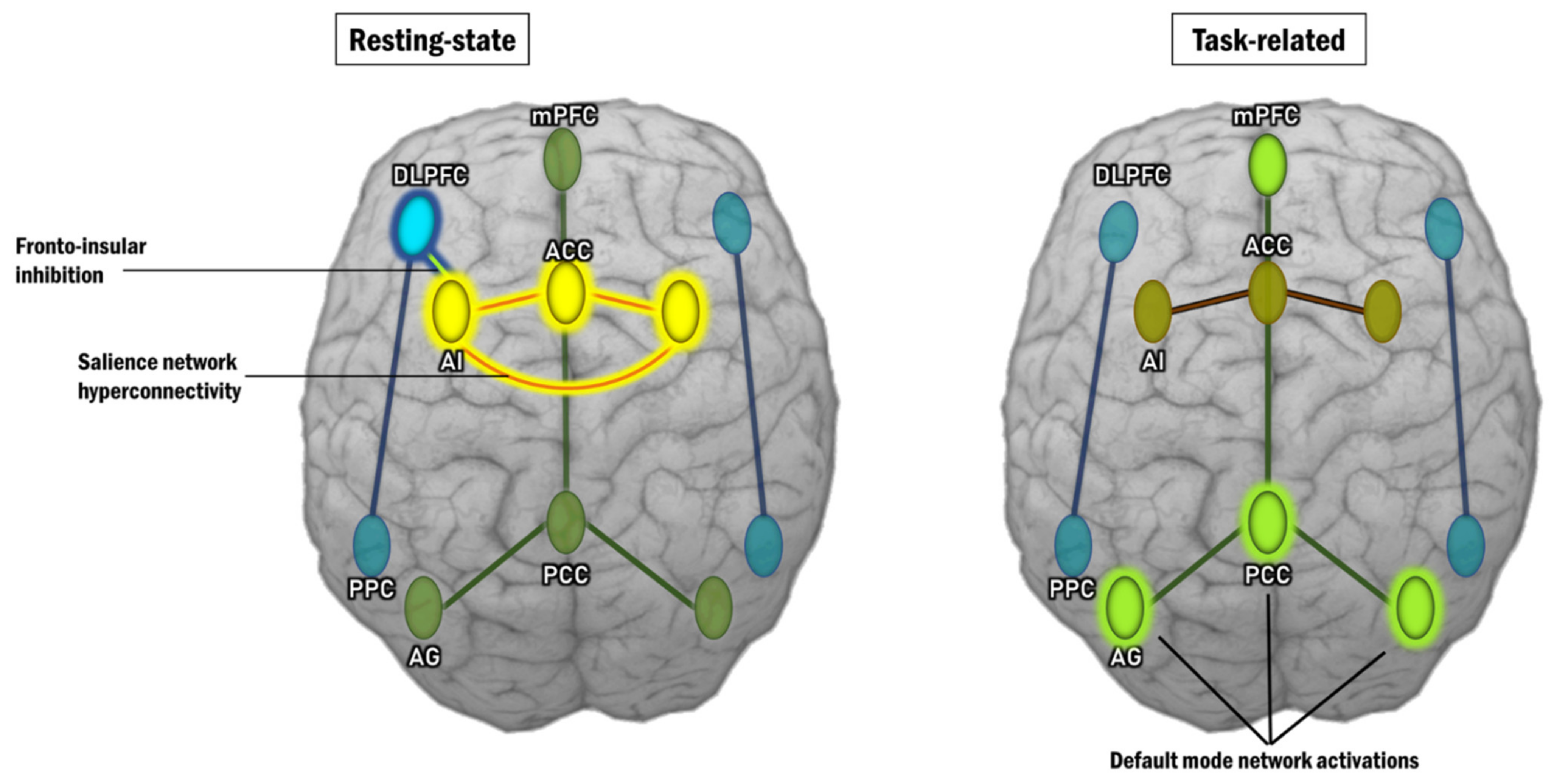 Ijms 22 09309 g005 Ijms 22 09309 g005