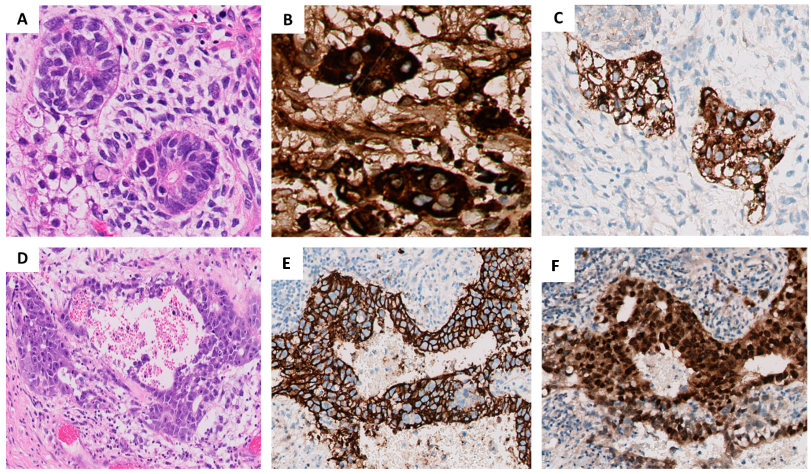 Ijms 22 09310 g001 550