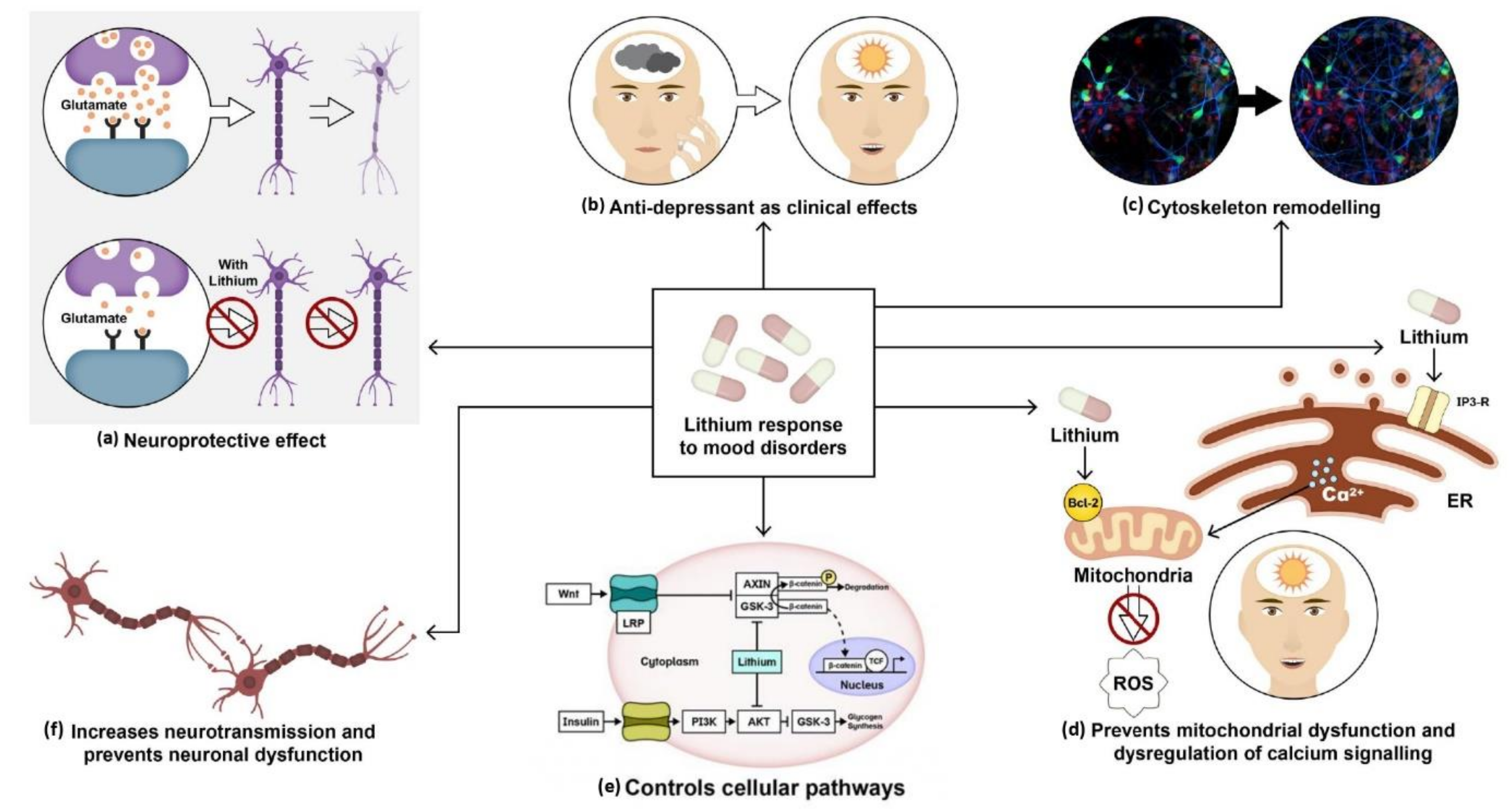 Prolonged neurological sequelae after combination treatment with lithium  and antipsychotic drugs.