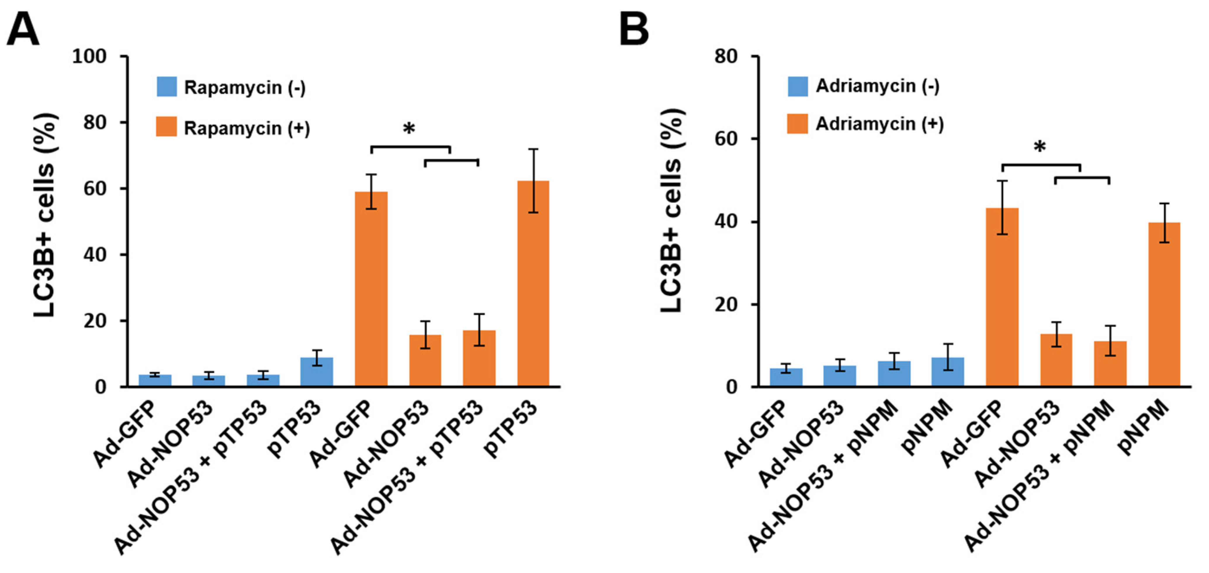 Ijms 22 09318 g002 Ijms 22 09318 g002