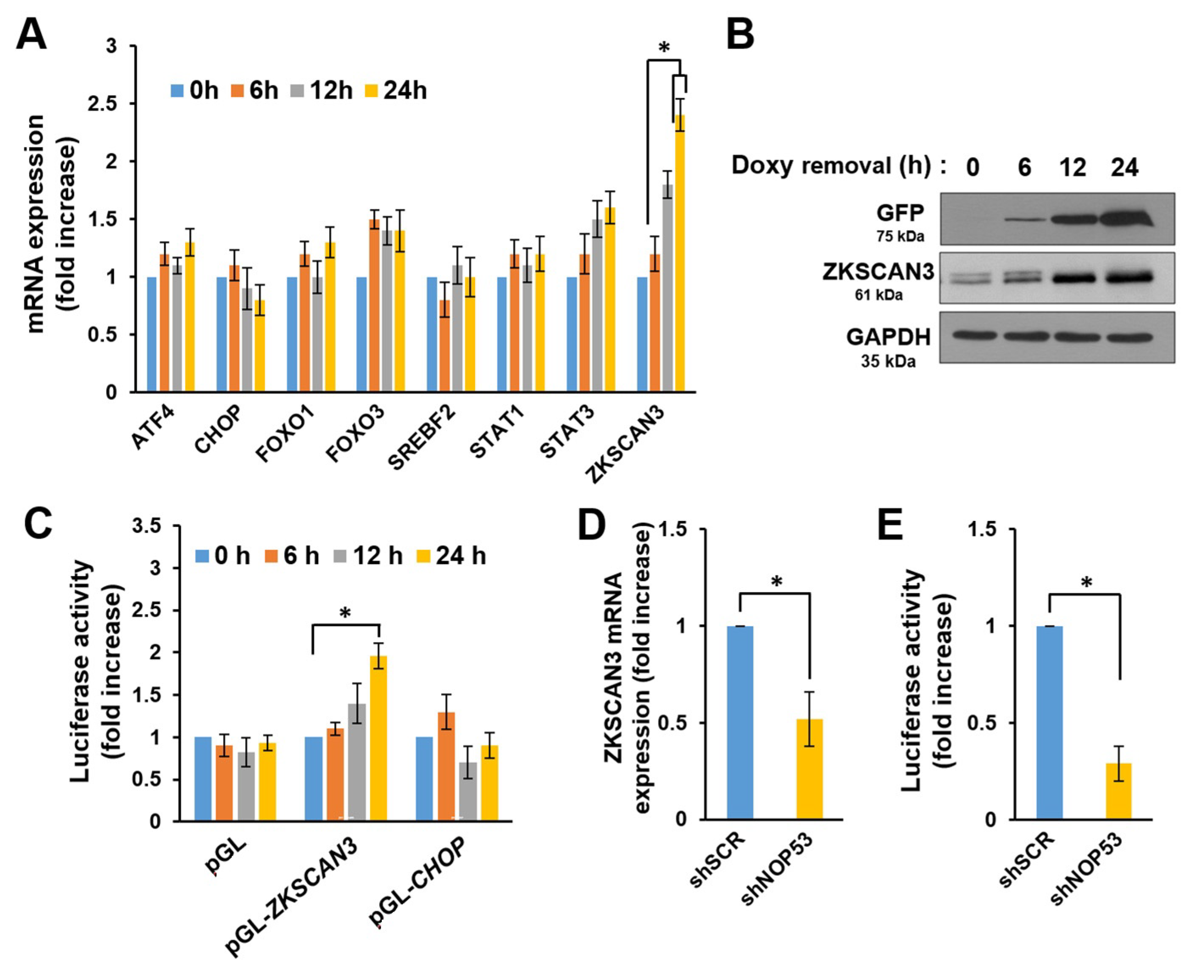 Ijms 22 09318 g003 Ijms 22 09318 g003