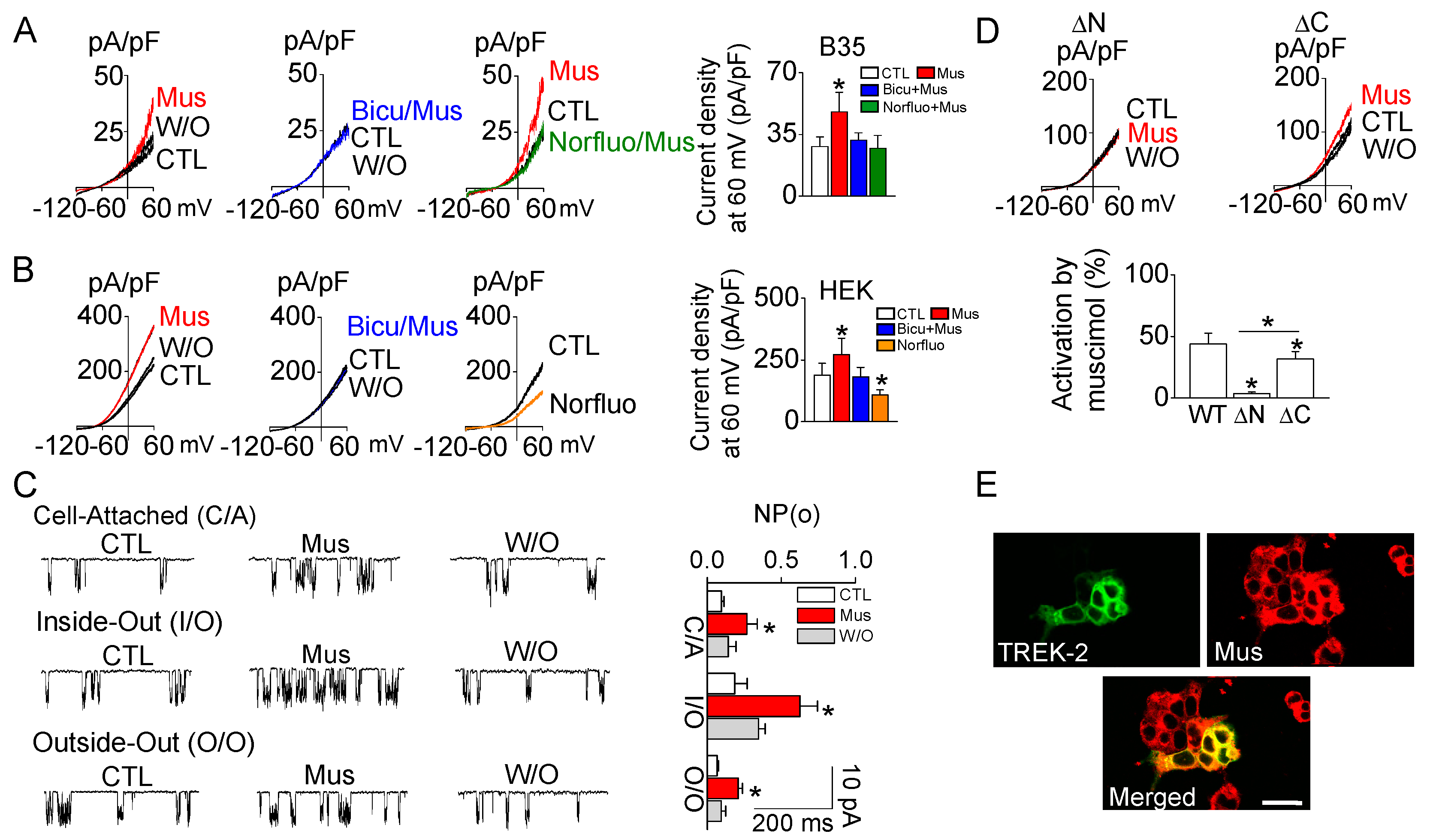 Ijms 22 09320 g004 Ijms 22 09320 g004