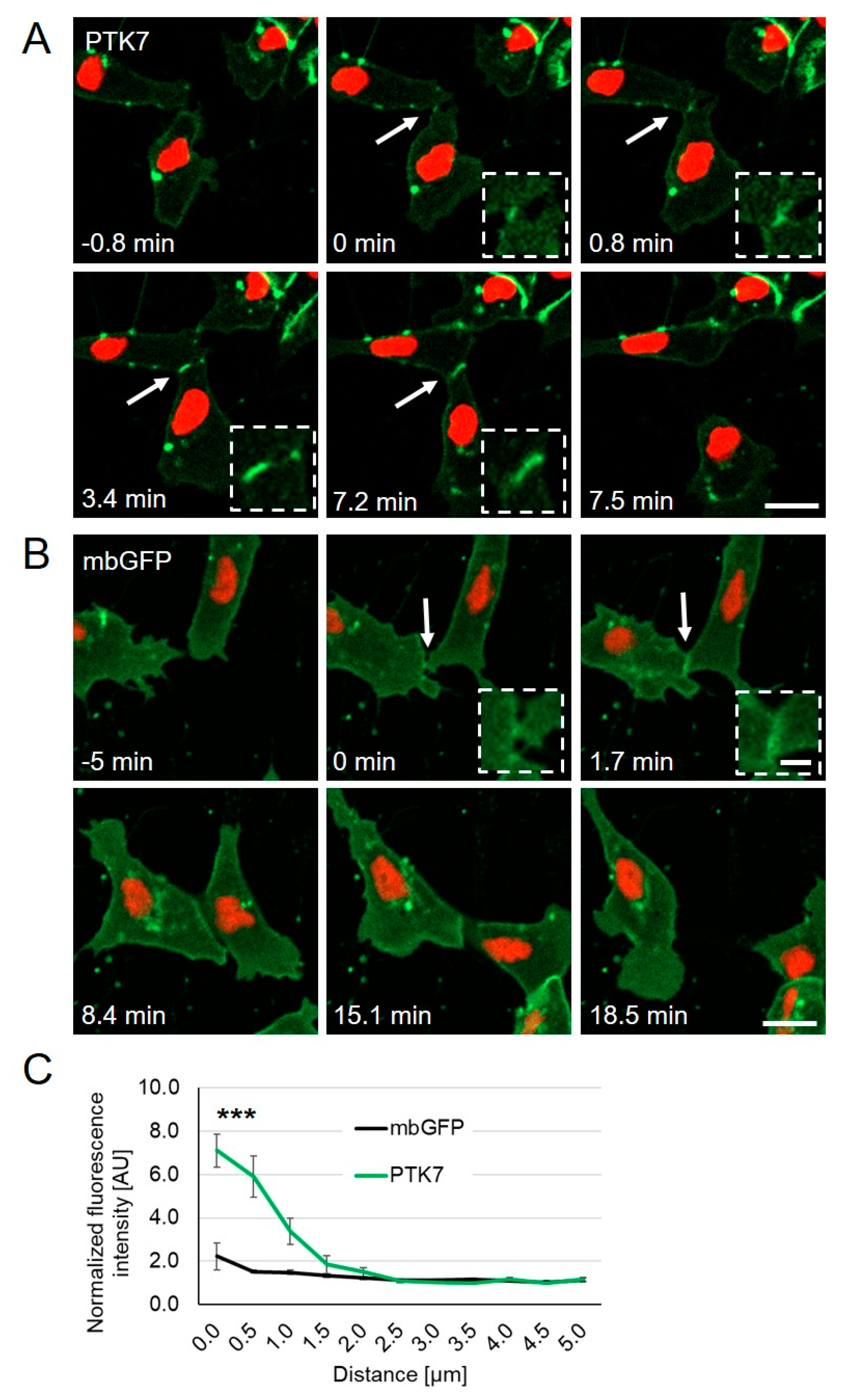 Ijms 22 09324 g001 550