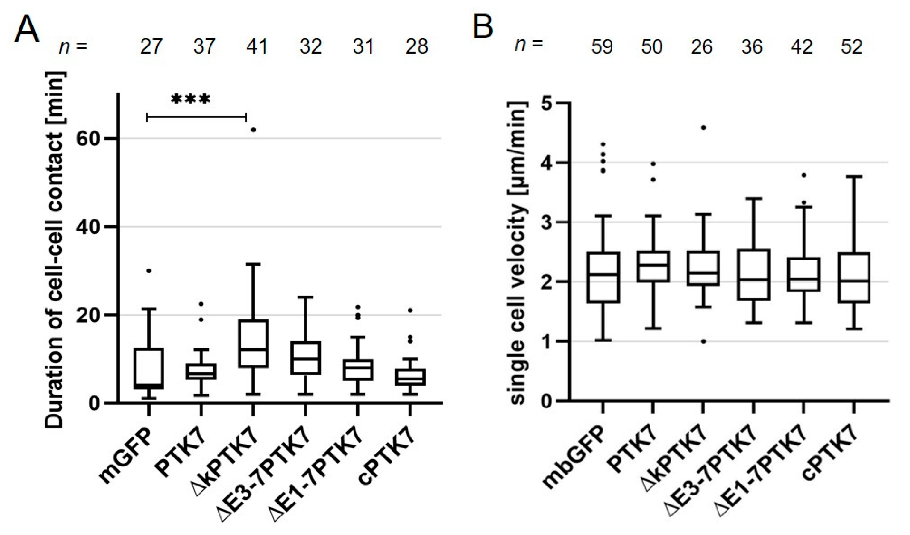 Ijms 22 09324 g004 550