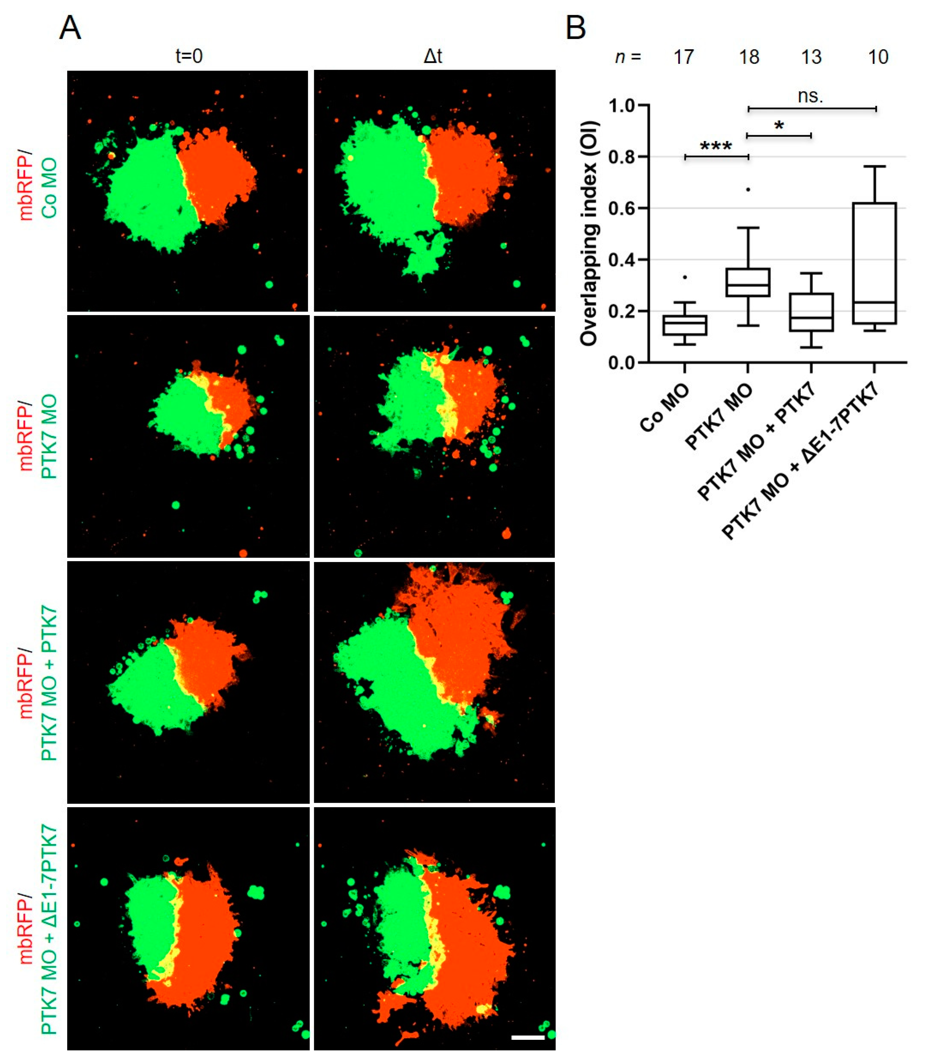 Ijms 22 09324 g006 550