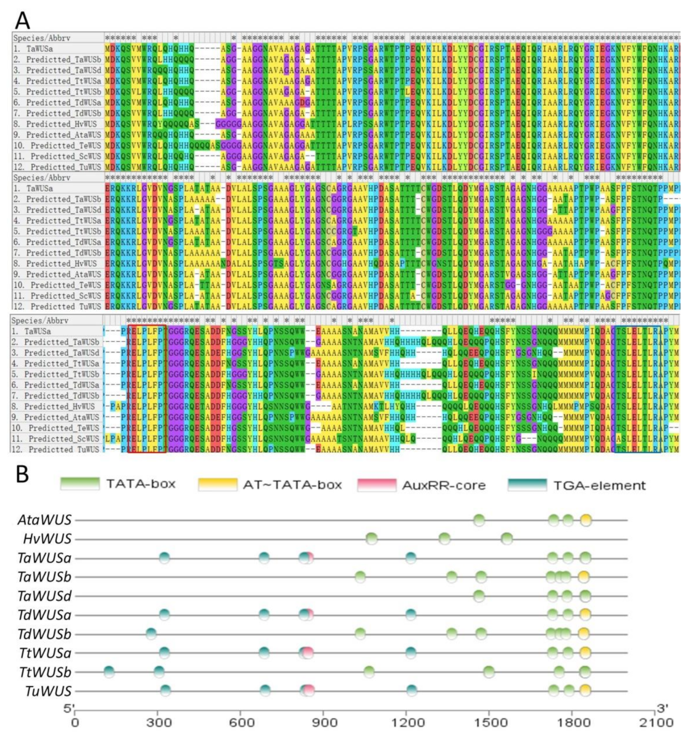 Ijms 22 09325 g001 550