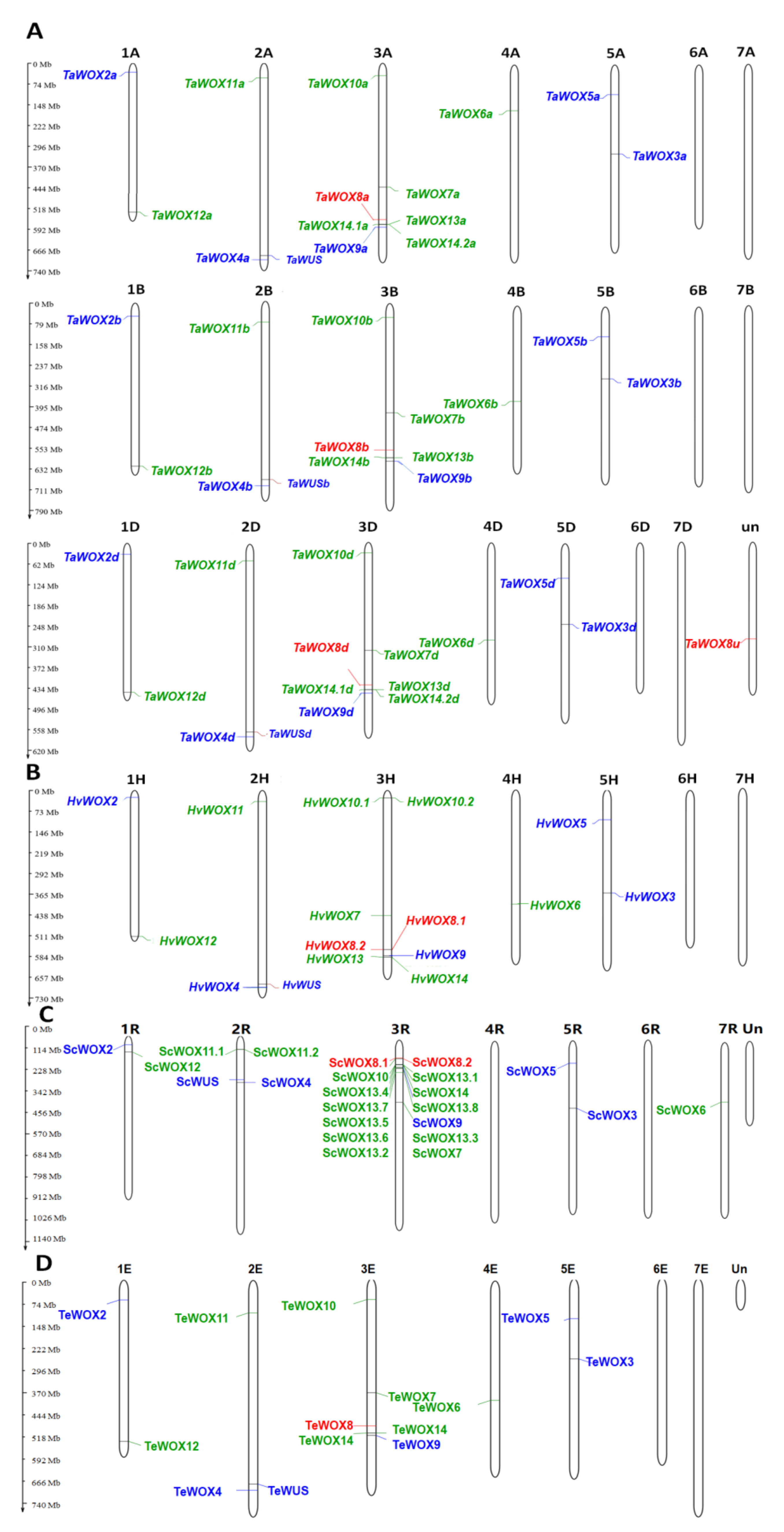 Ijms 22 09325 g002 550