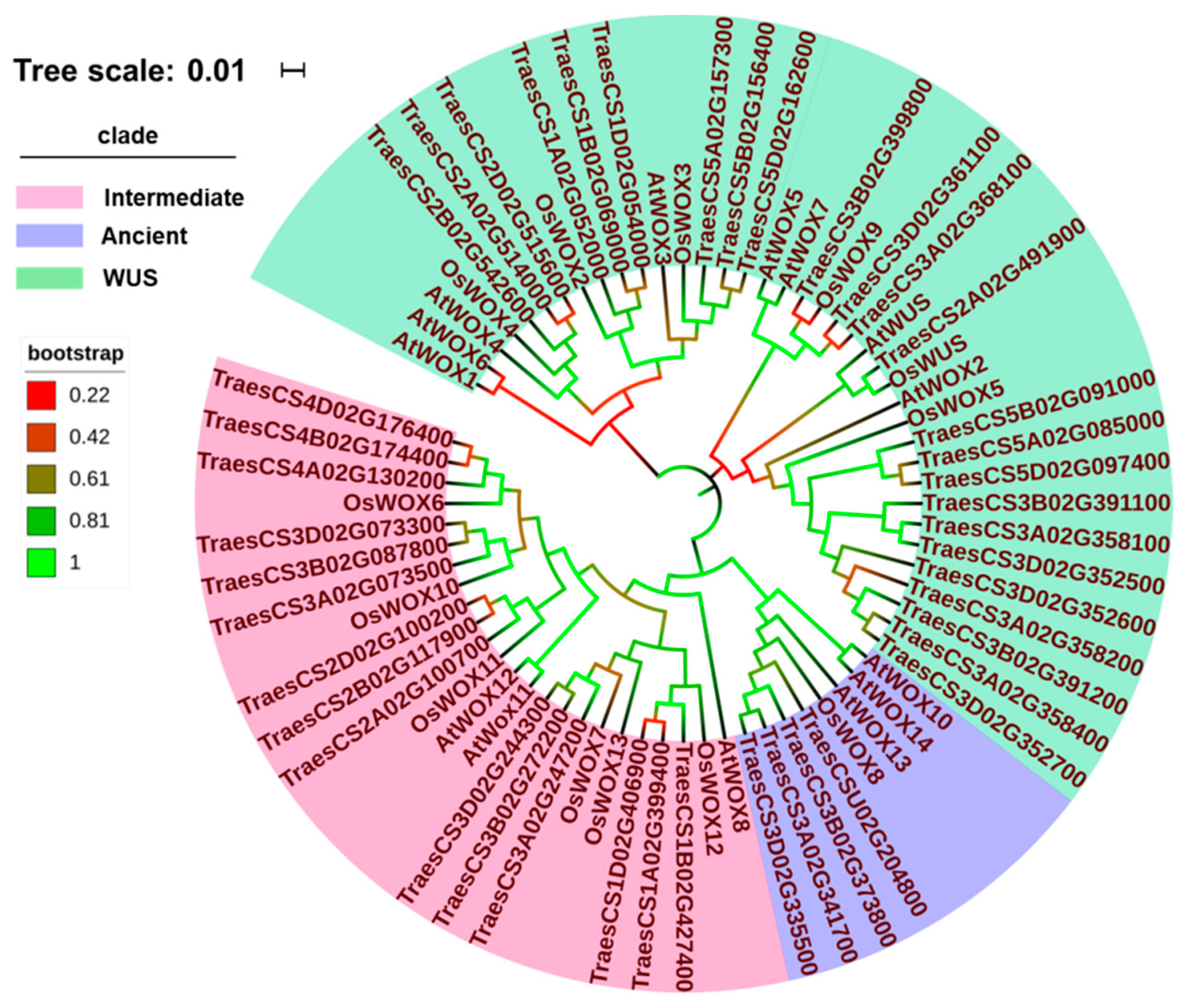 Ijms 22 09325 g004 550