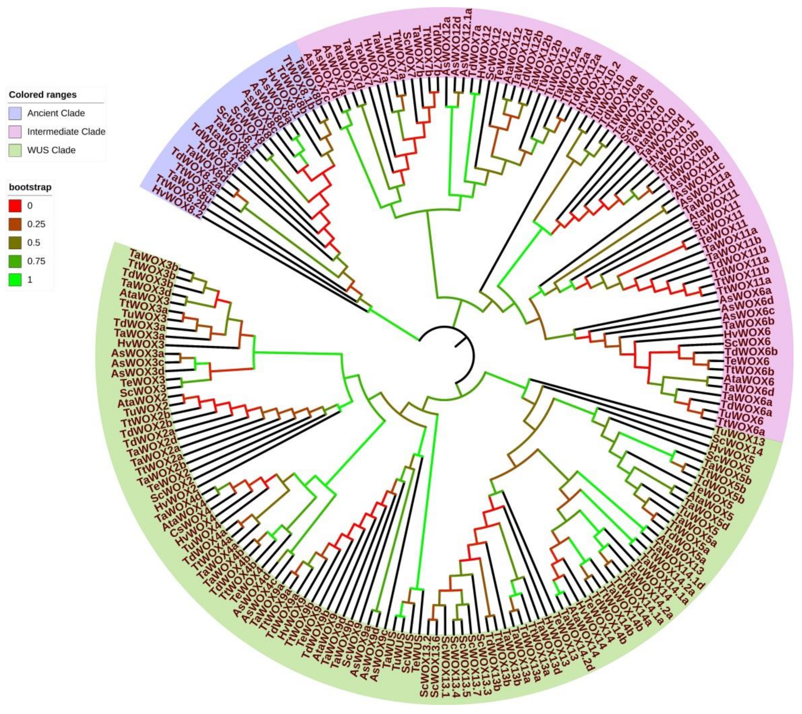 Ijms 22 09325 g005 550