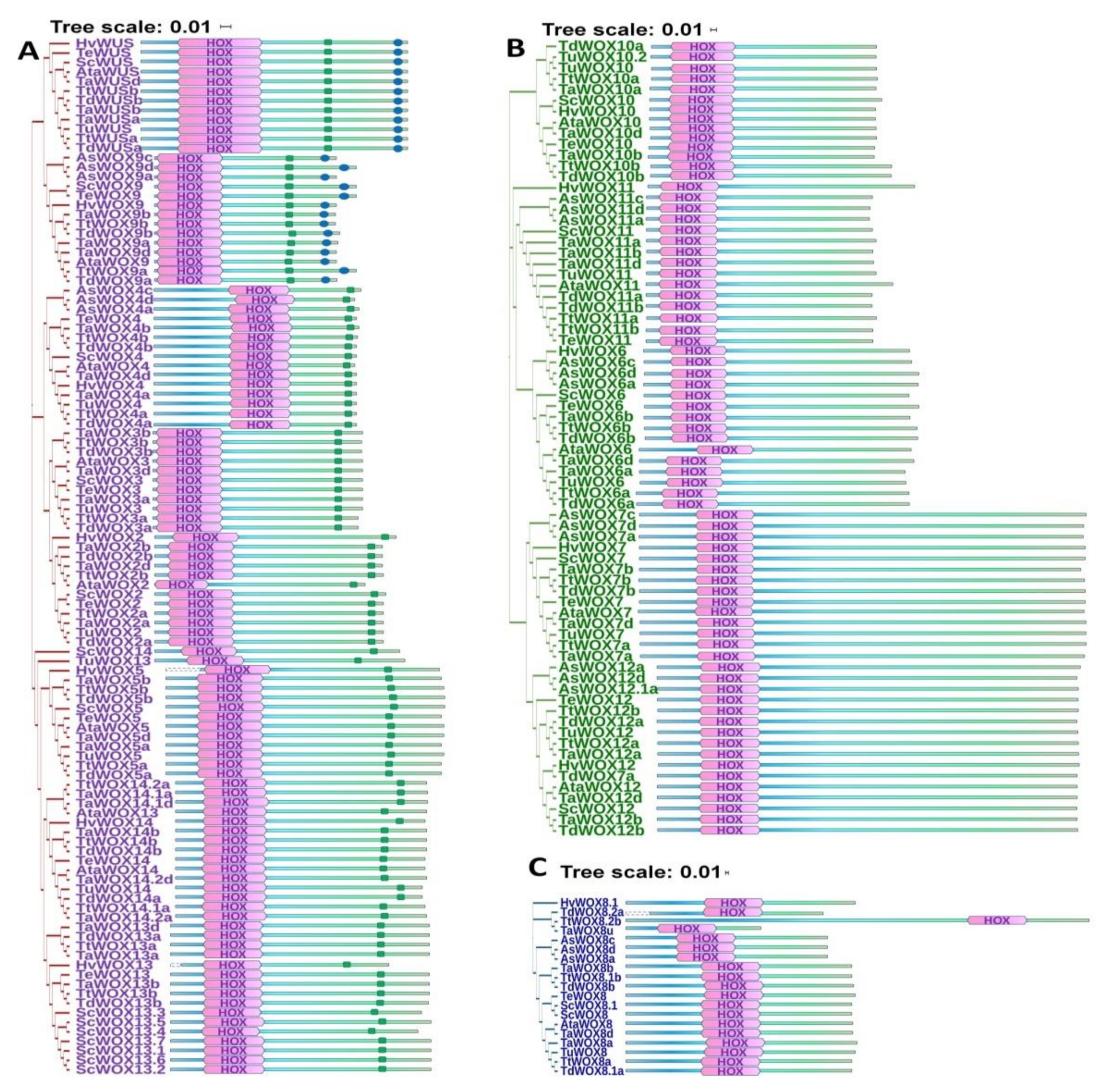 Ijms 22 09325 g006 550