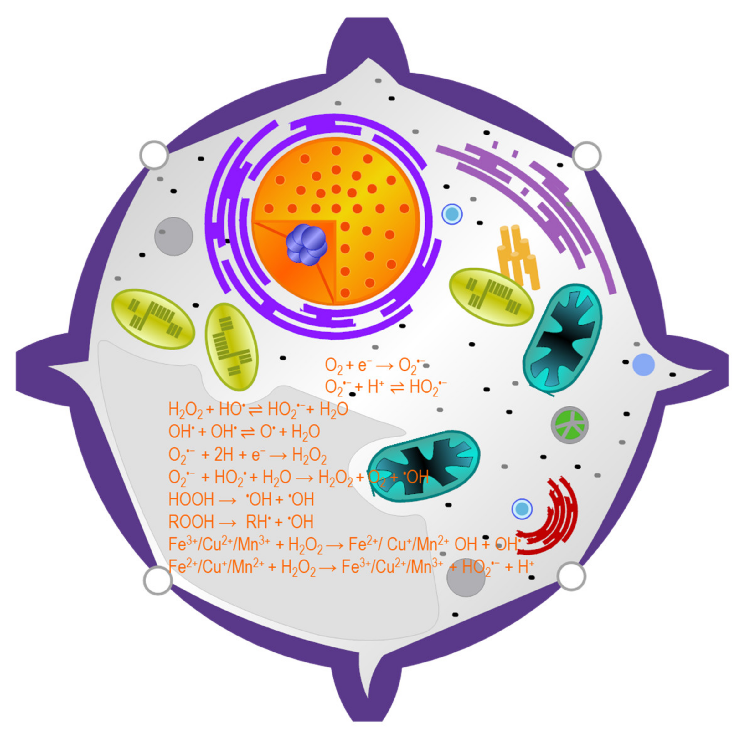 Ijms 22 09326 g002 550