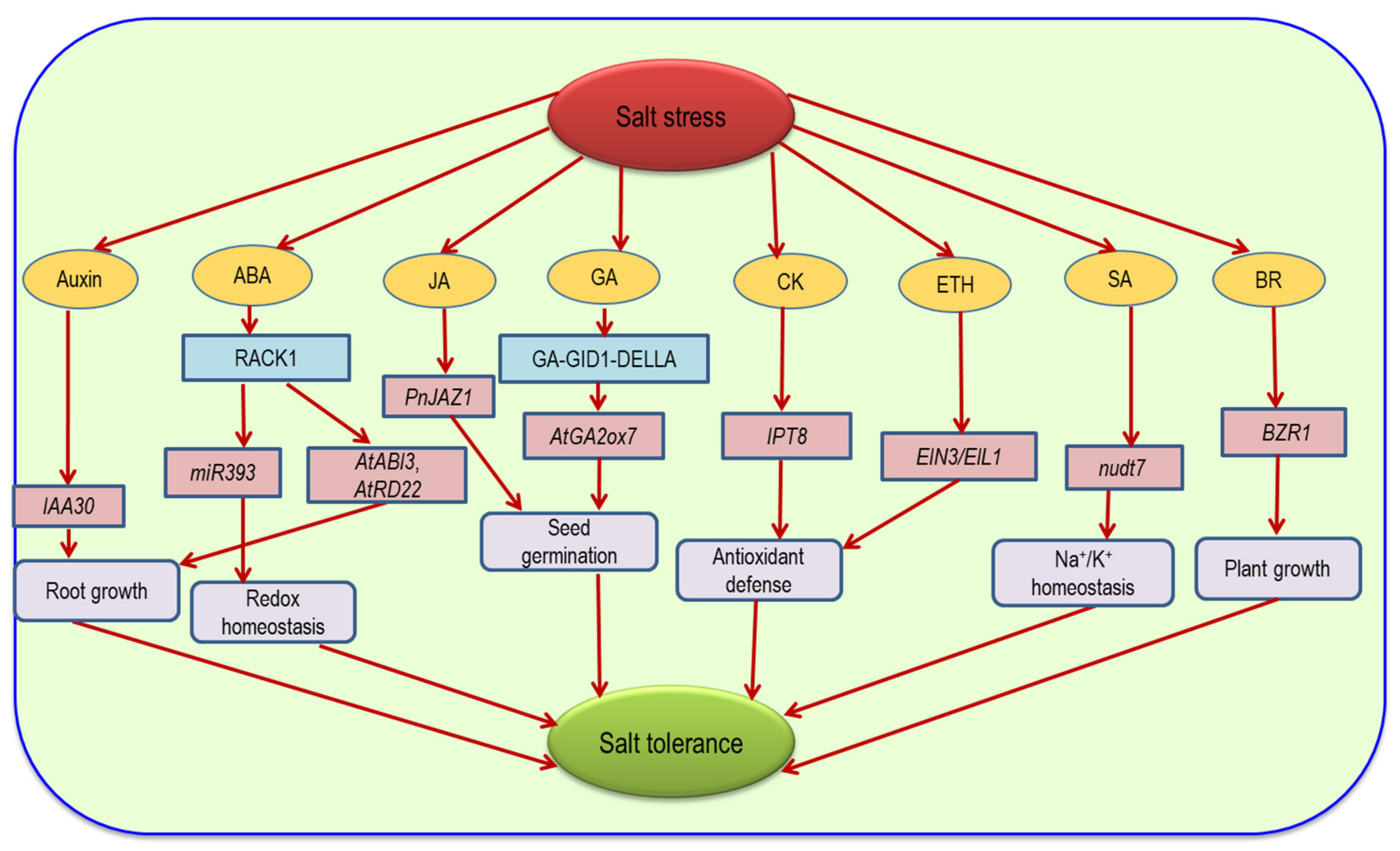 Ijms 22 09326 g009 550