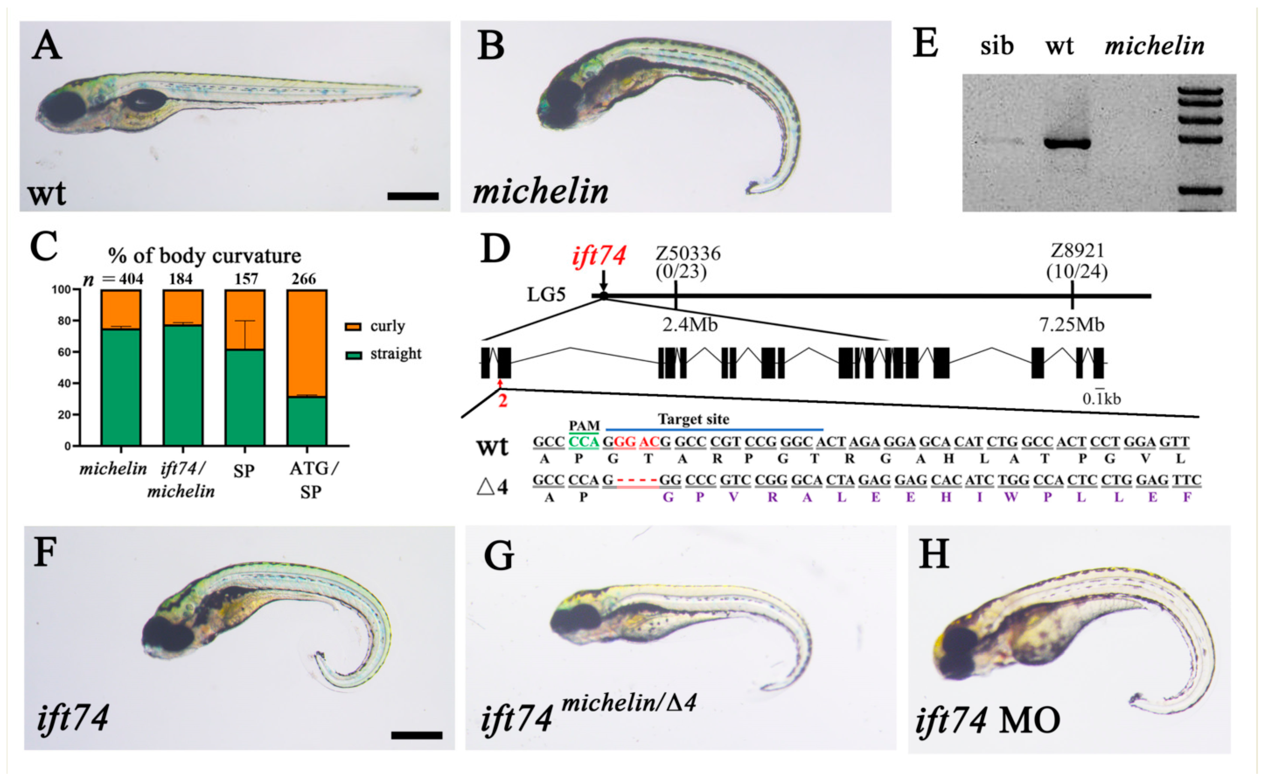 Ijms 22 09329 g001 550