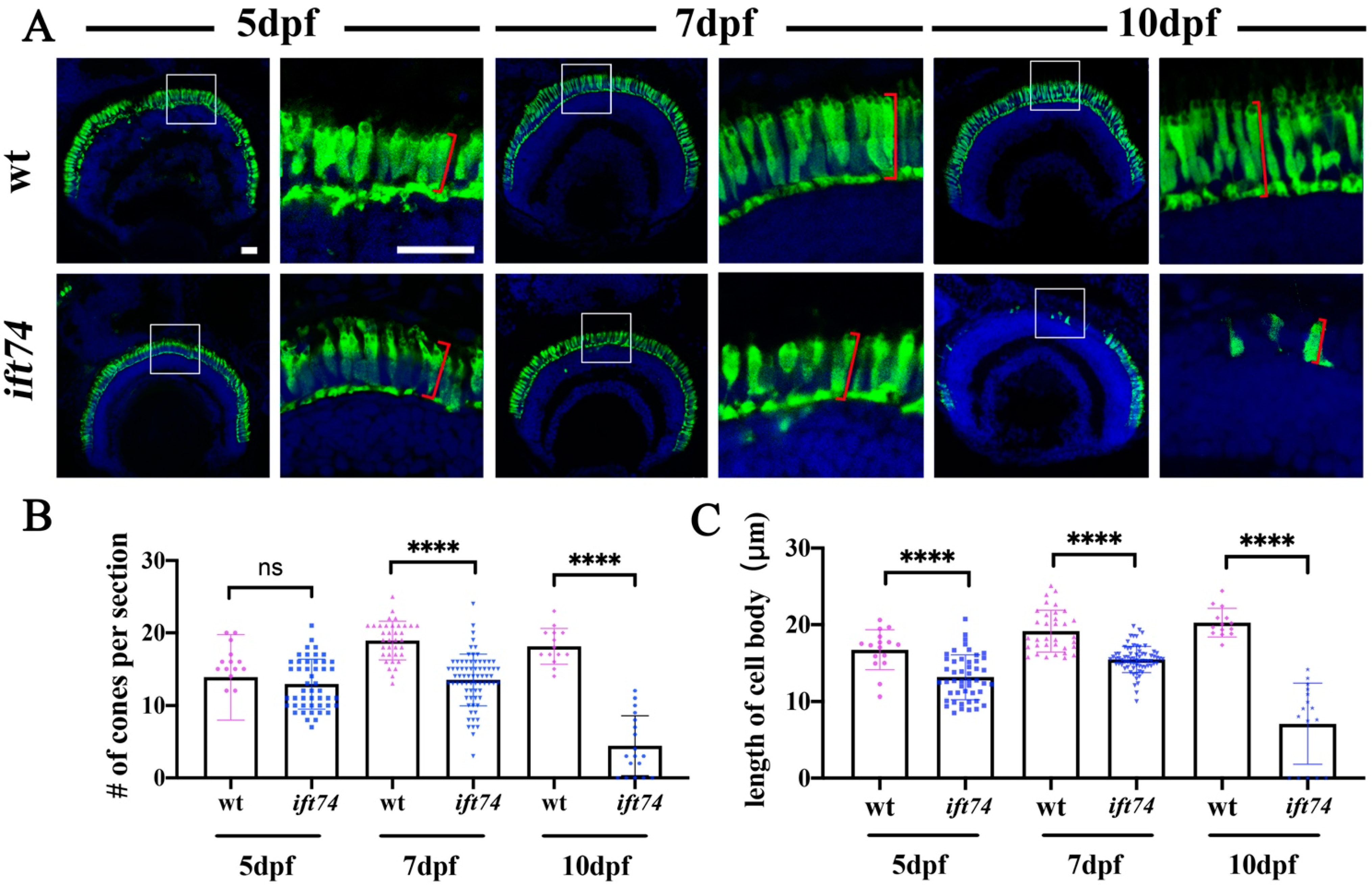 Ijms 22 09329 g003 550